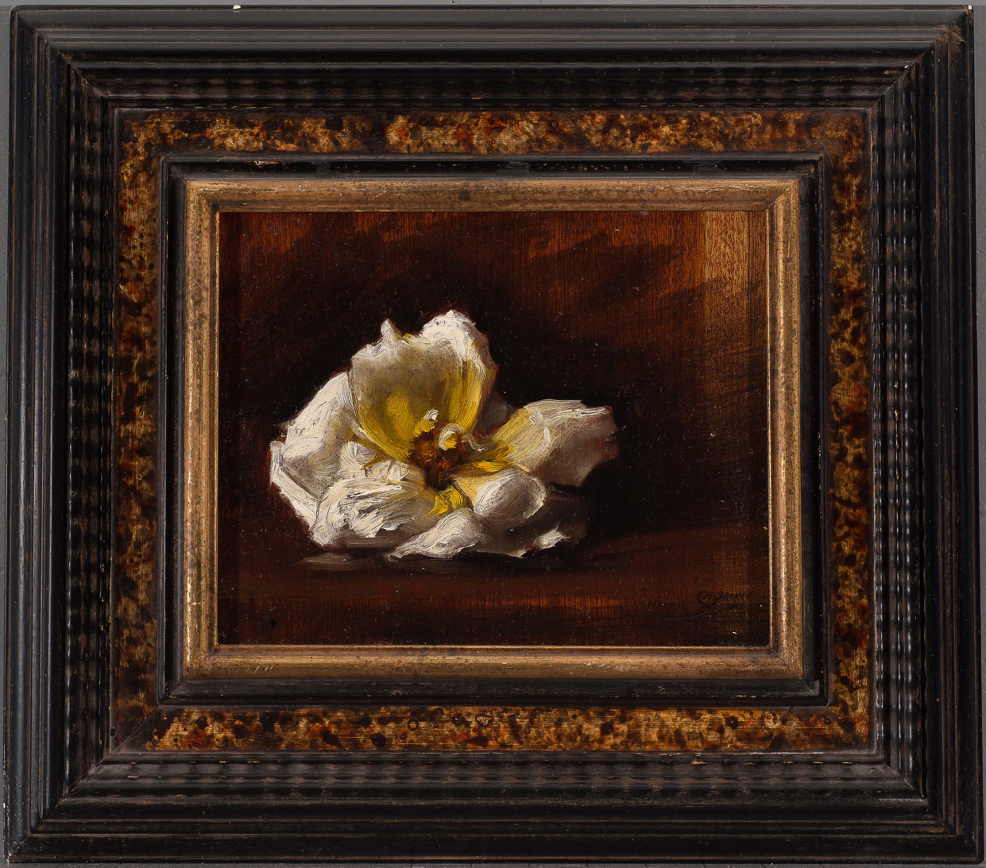 White Rose by Daniel Graves