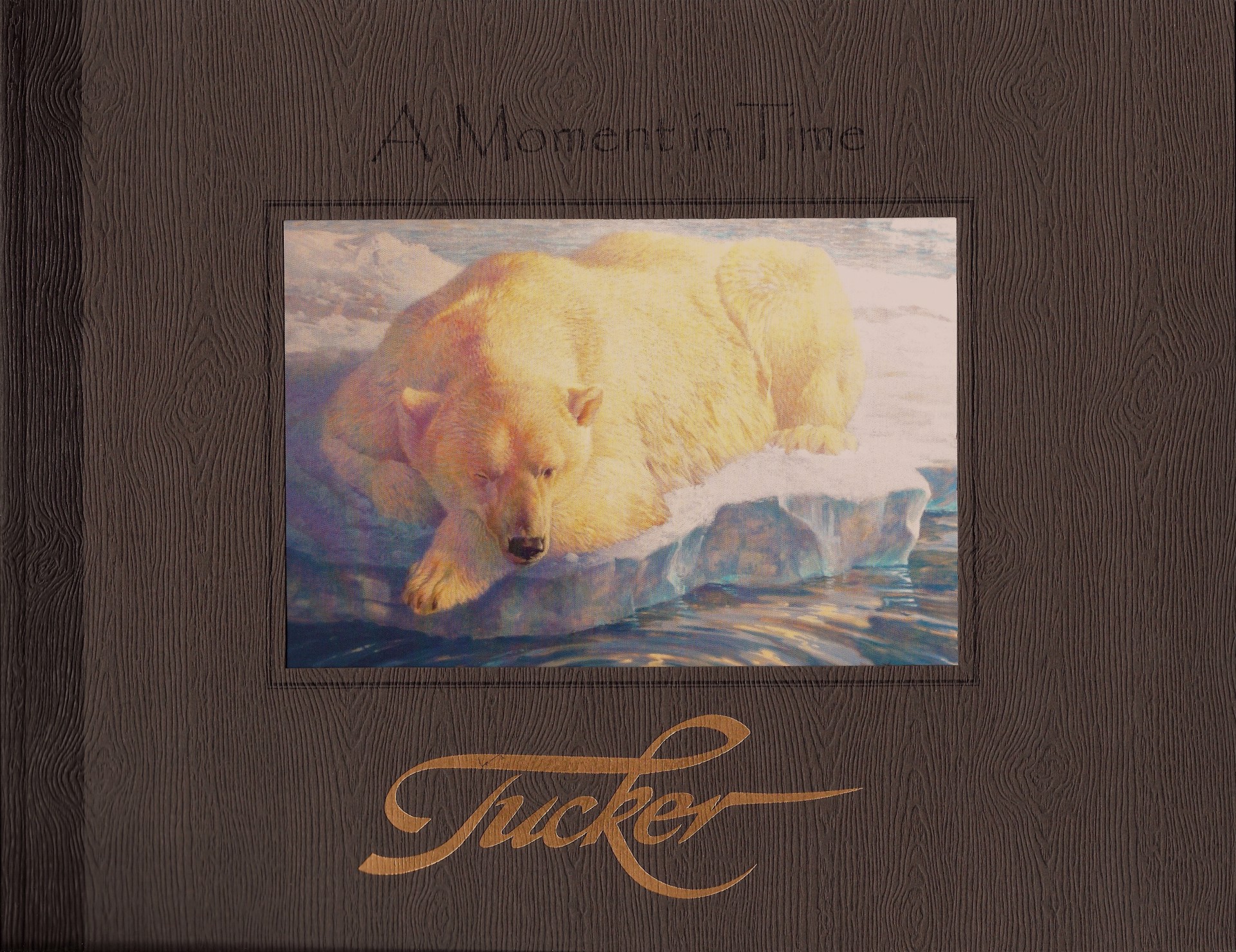 A Moment in Time-Book by Ezra Tucker