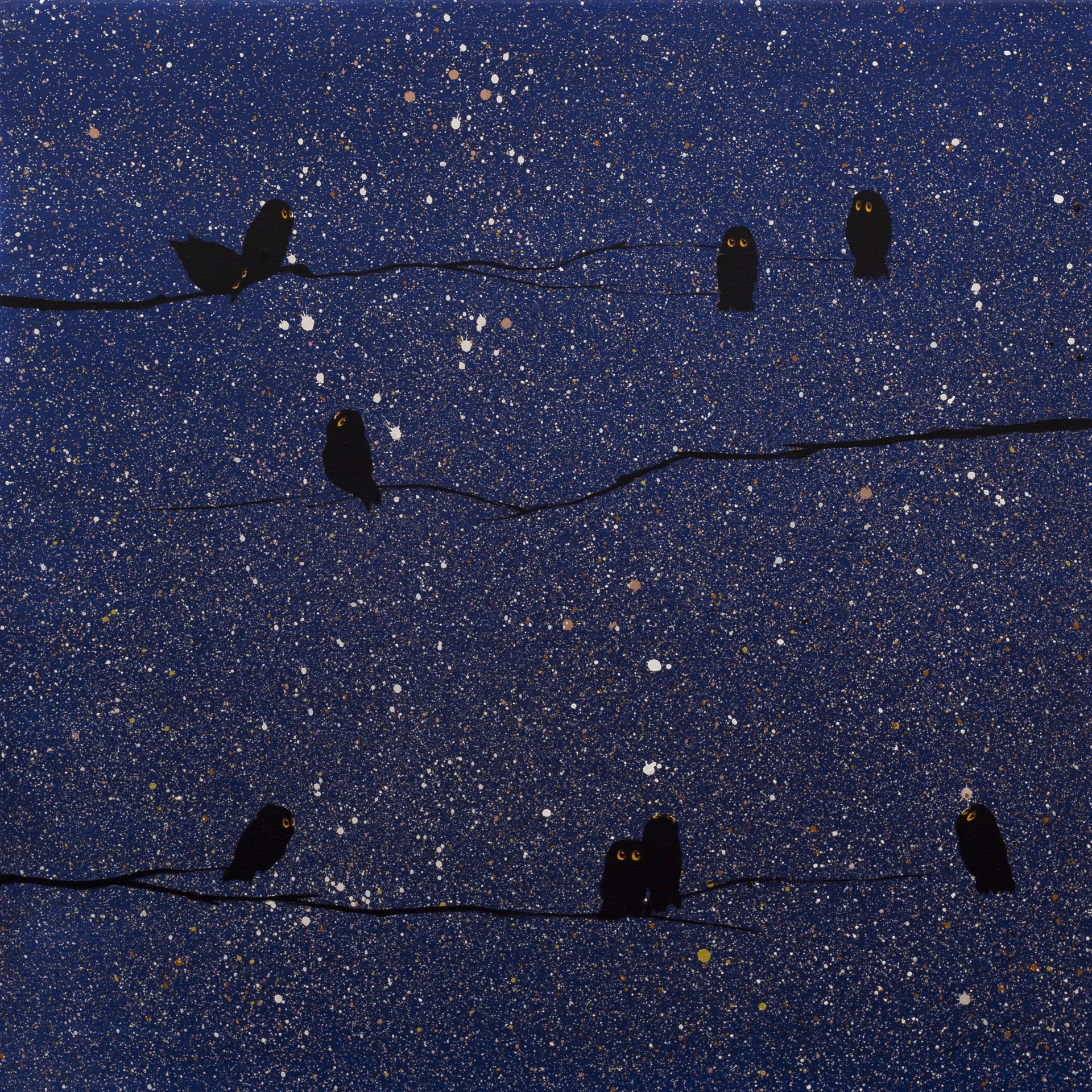 Nine Birds on Blue Night by Josh Brown