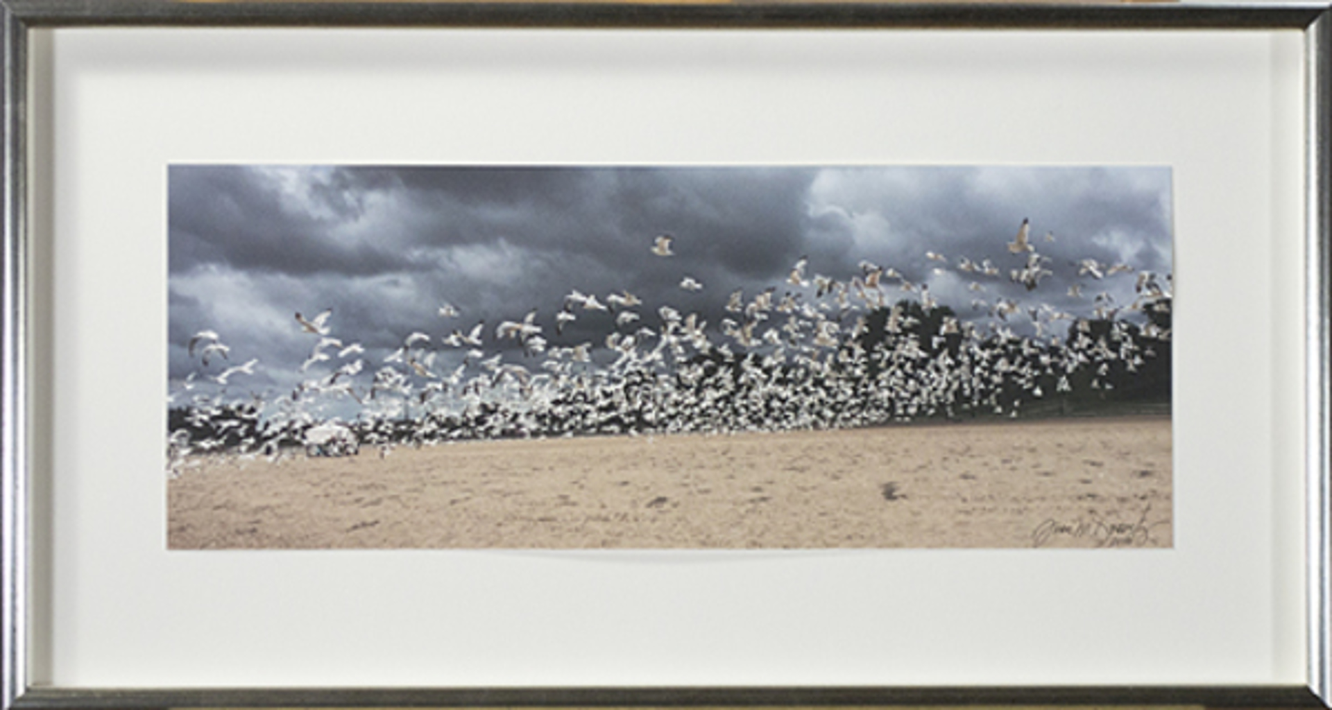 Lake Michigan Seagulls In Flight #2 by Joan Dvorsky