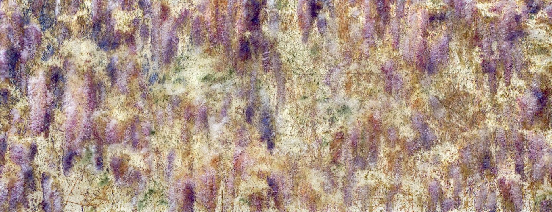 Lavender Lace by Susan Goldsmith