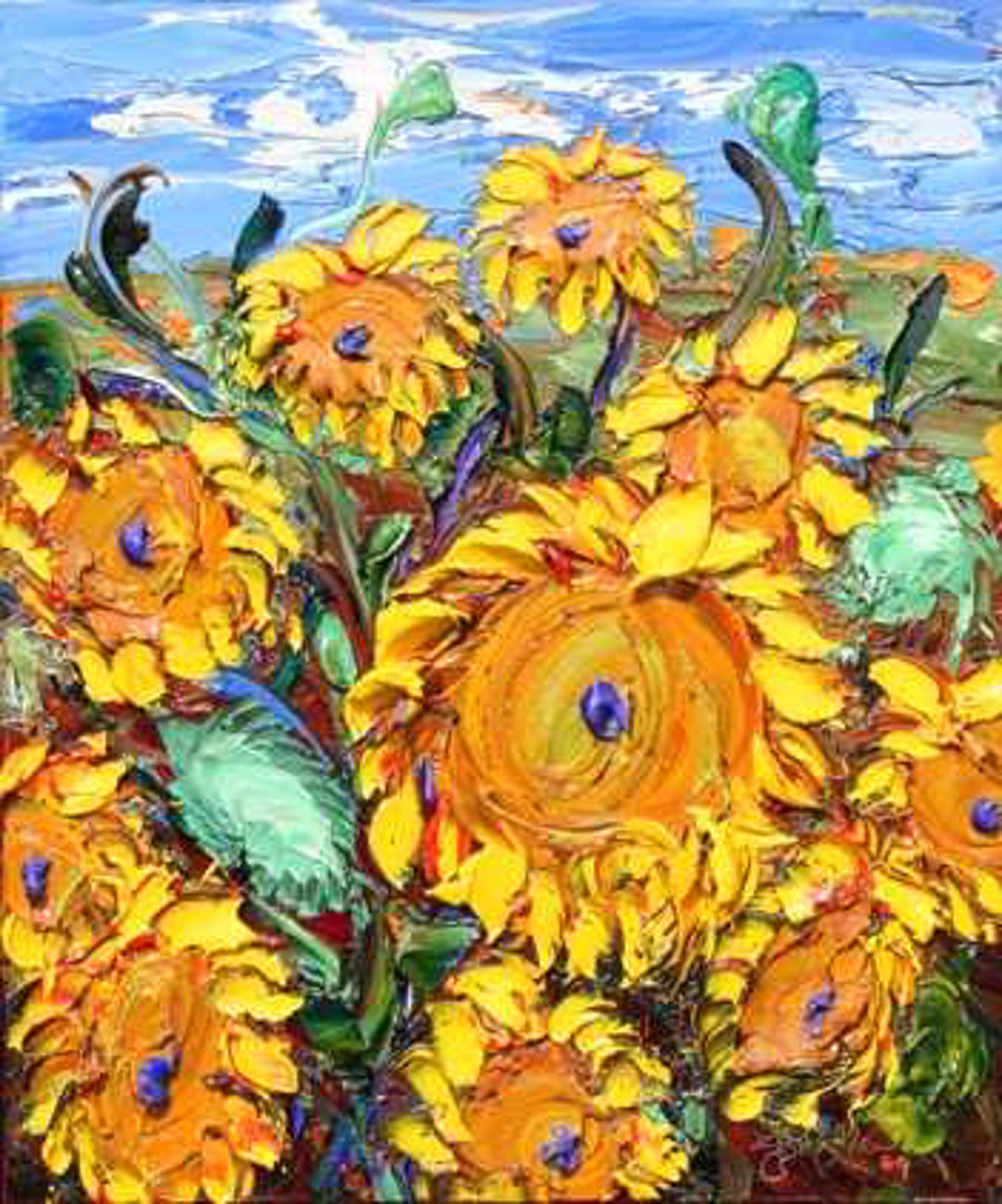 Sunflower Morning by JD Miller
