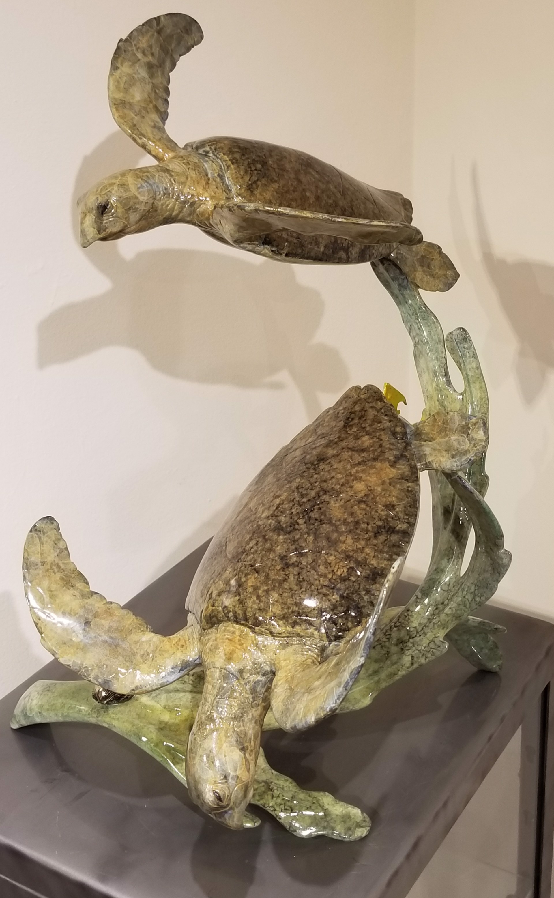 Large Loggerhead Turtles by Brian Arthur