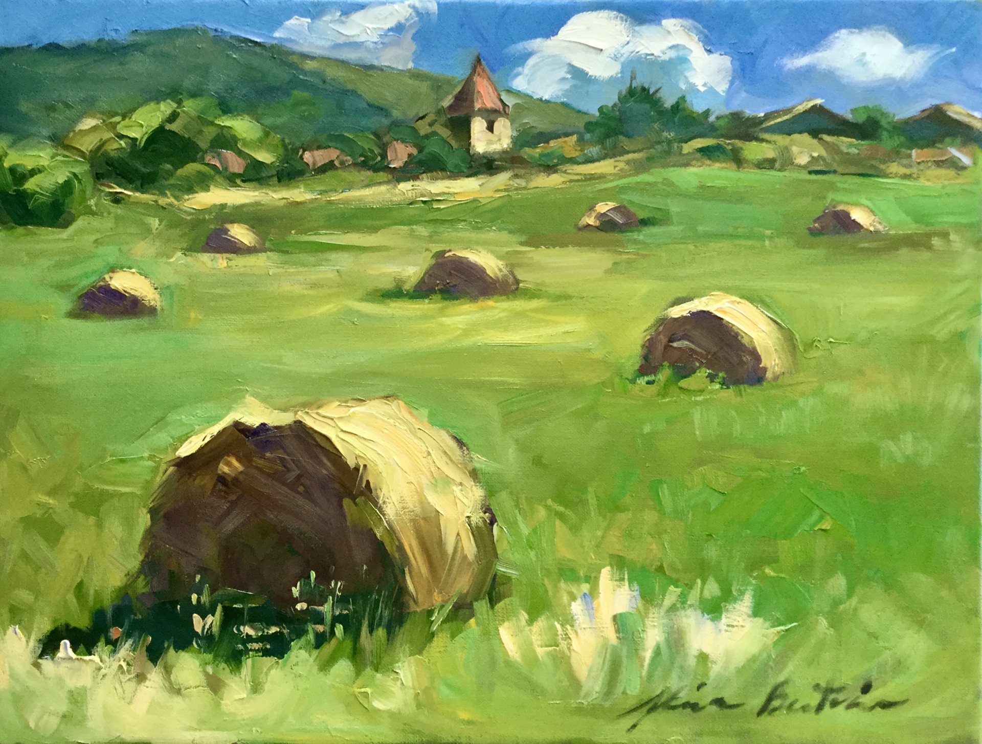 Hayroll Fields In The Cevanne by Maria Bertrán