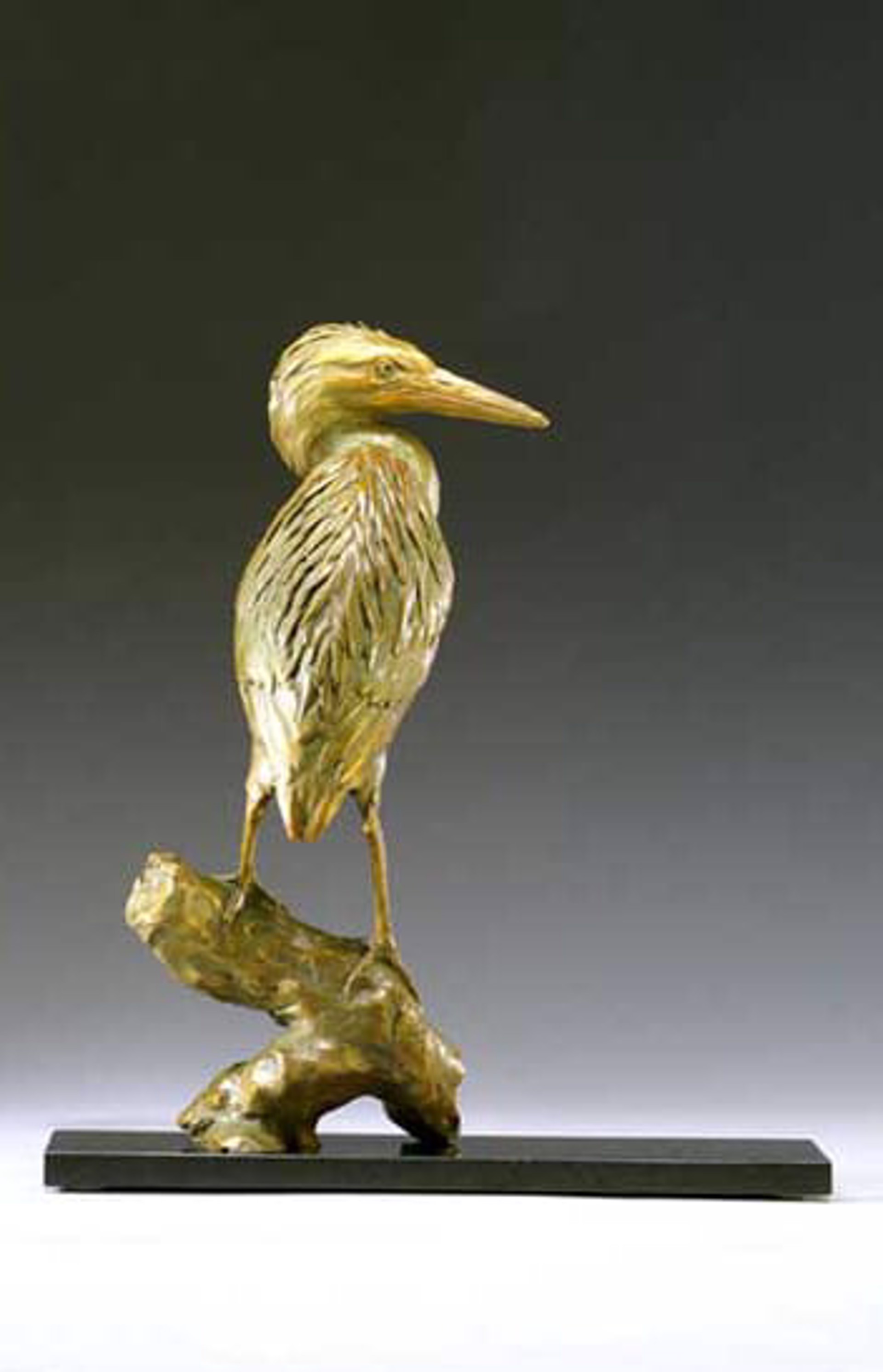 Green Heron by Daniel Glanz (sculptor)