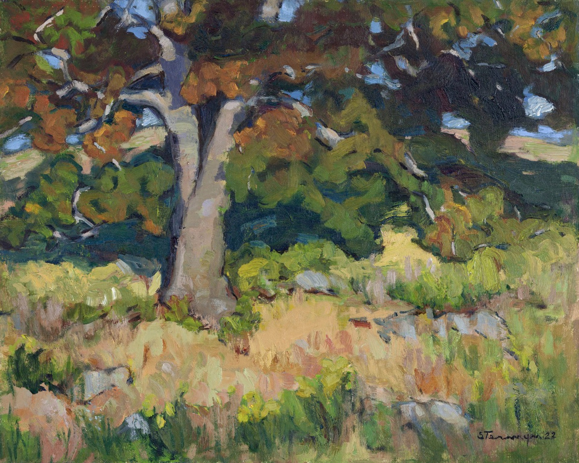 Oak and Fields by Susan Termyn
