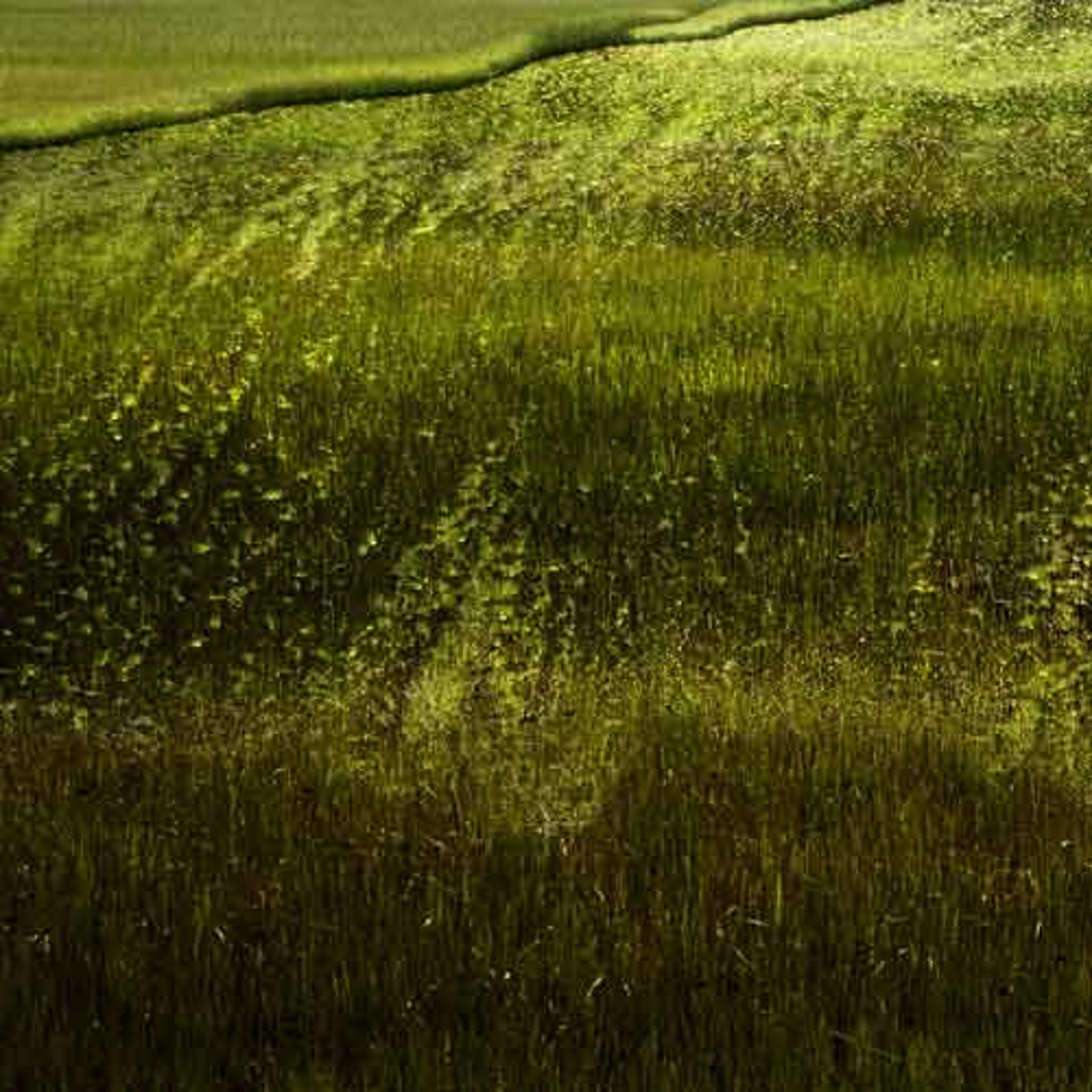 Horizon Fields XVII by Lependorf + Shire