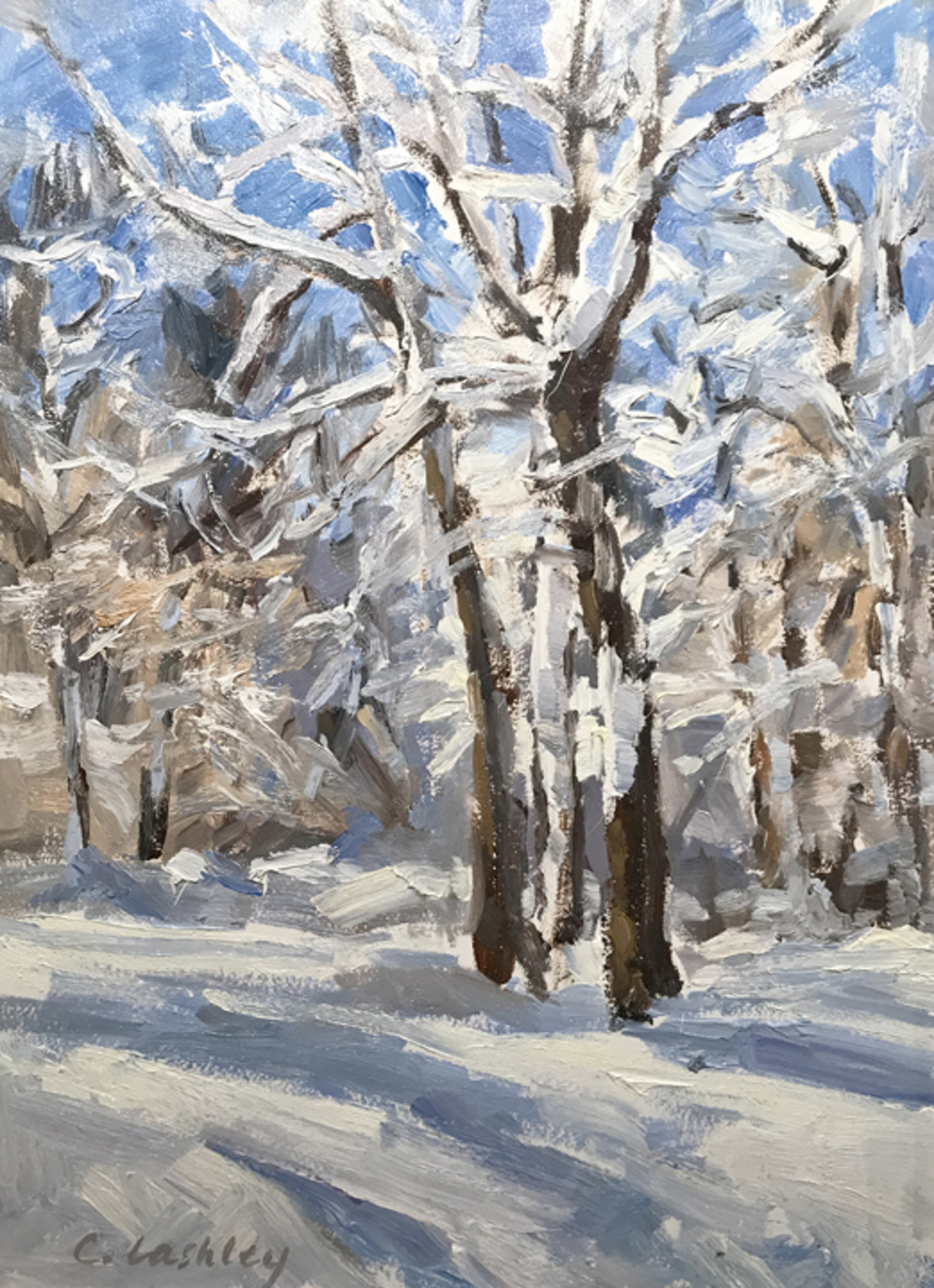 Deep Snow by Christine Lashley