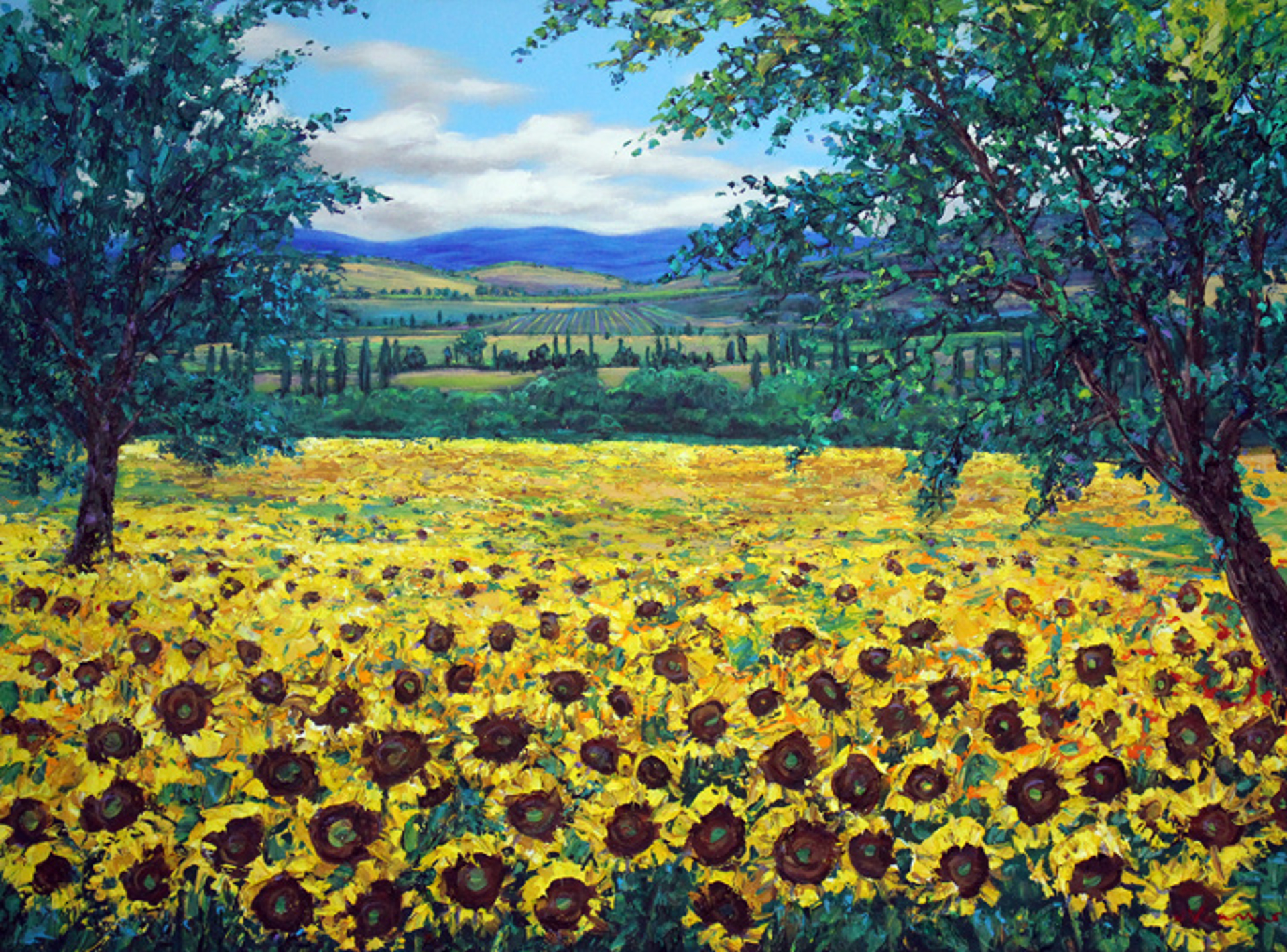 Fields of Sunshine by Jennifer Vranes