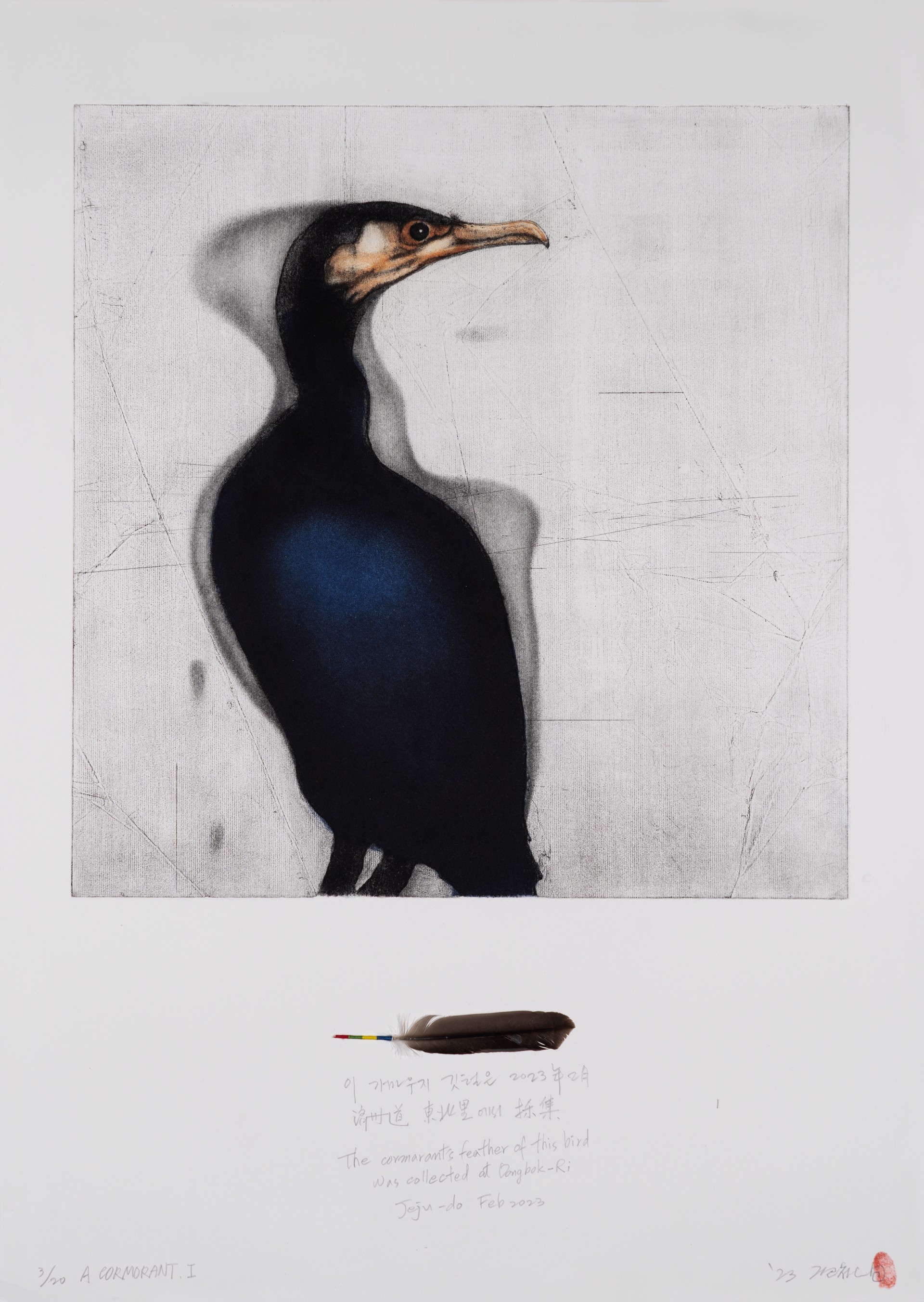 A Cormorant I by Gilchun Koh