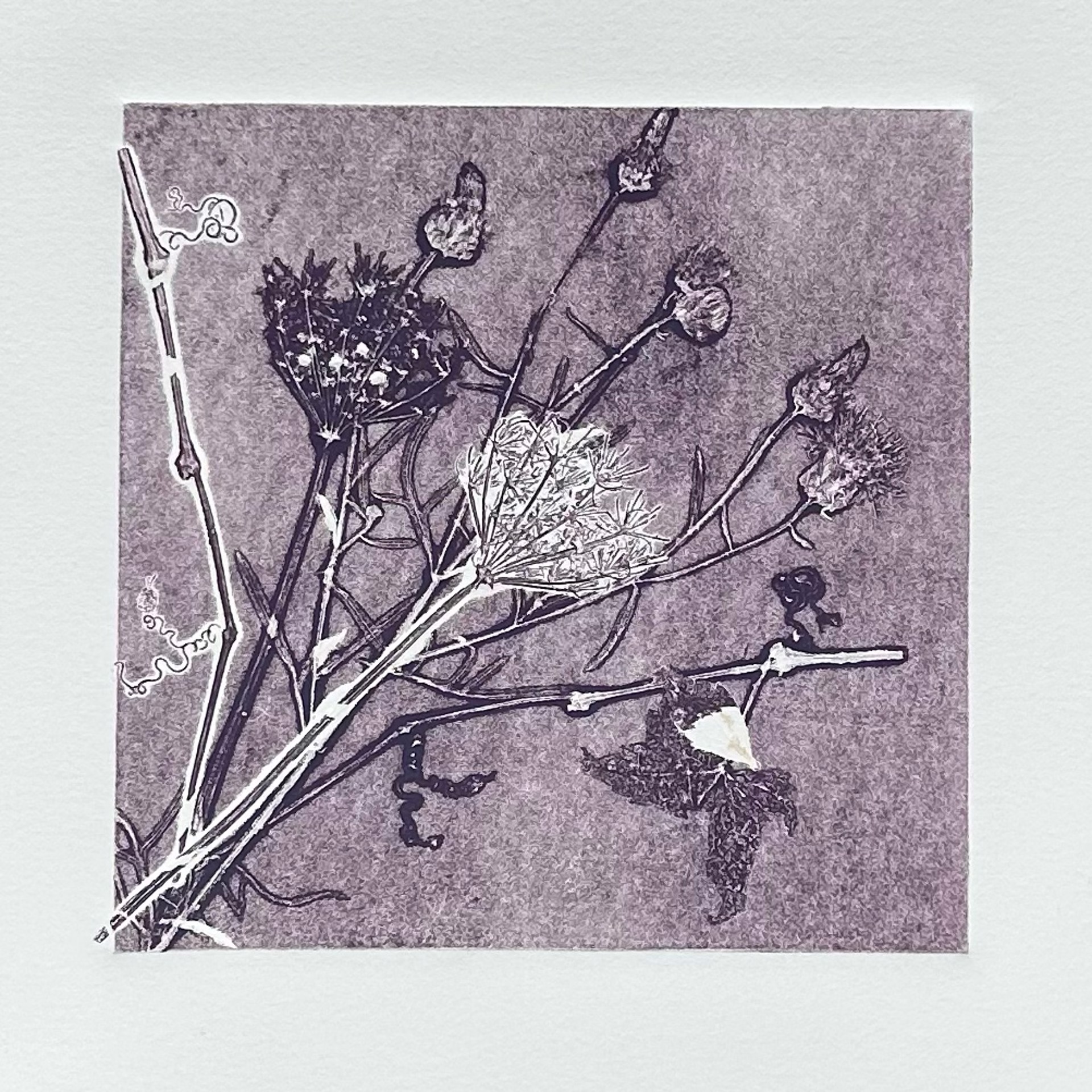 Purple Meadow Ghost by Anne Kelly