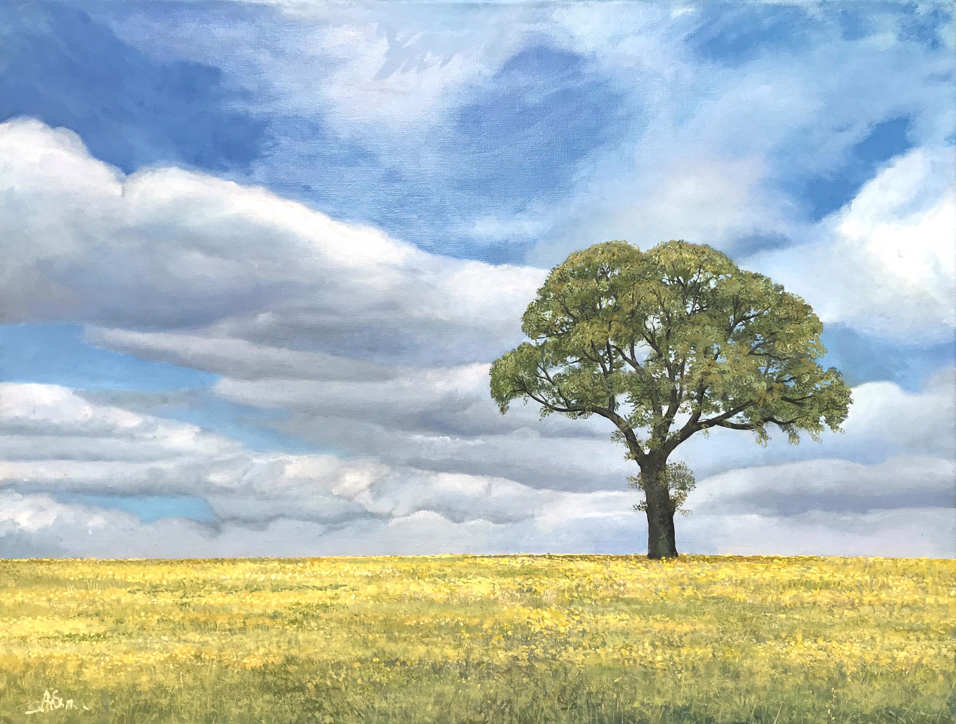 Lone Tree Blue Sky by Amanda McShanage