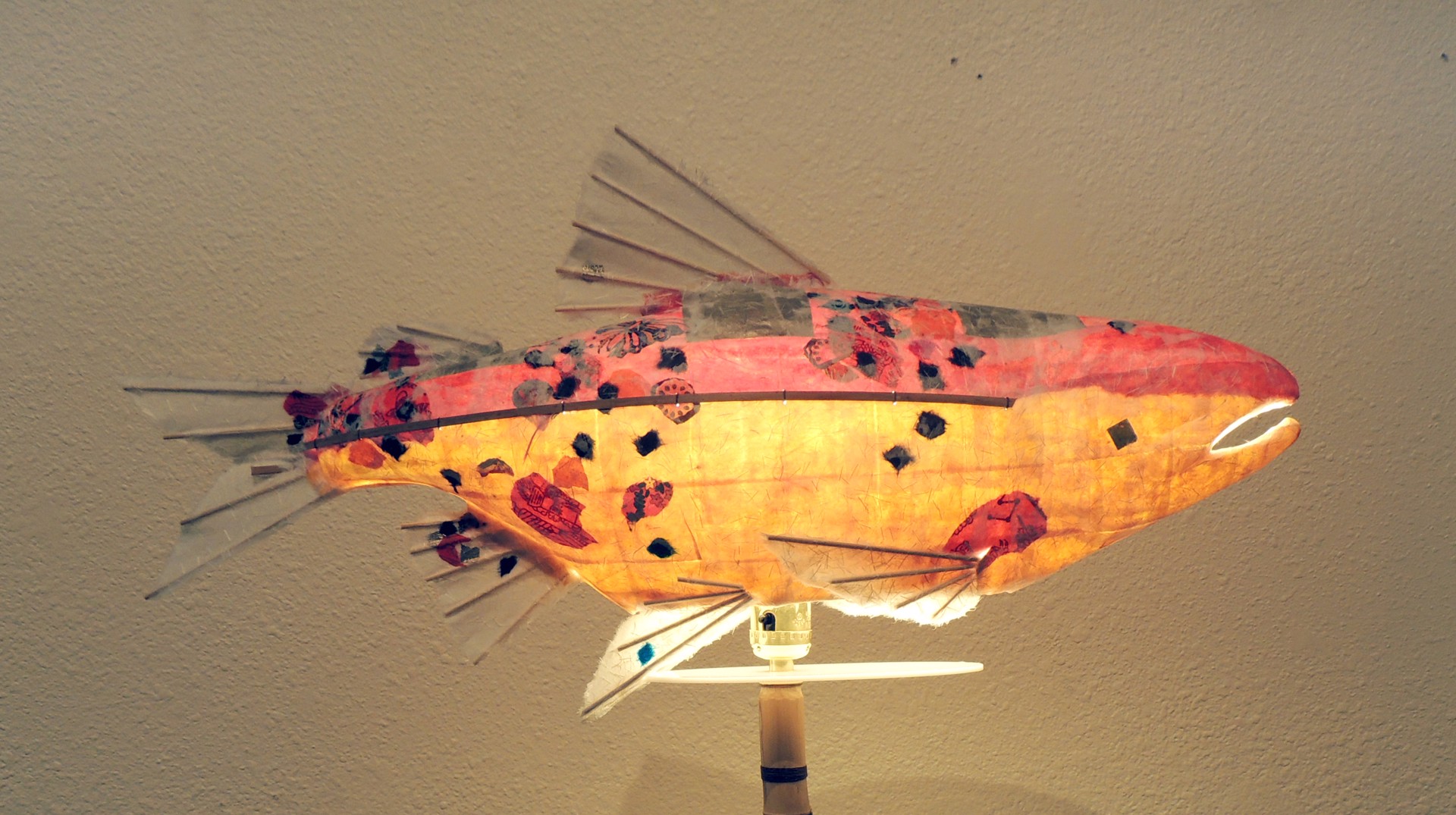 Lighted Fish at Dahlia Lounge | Elaine Hanowell by Commissioned Projects