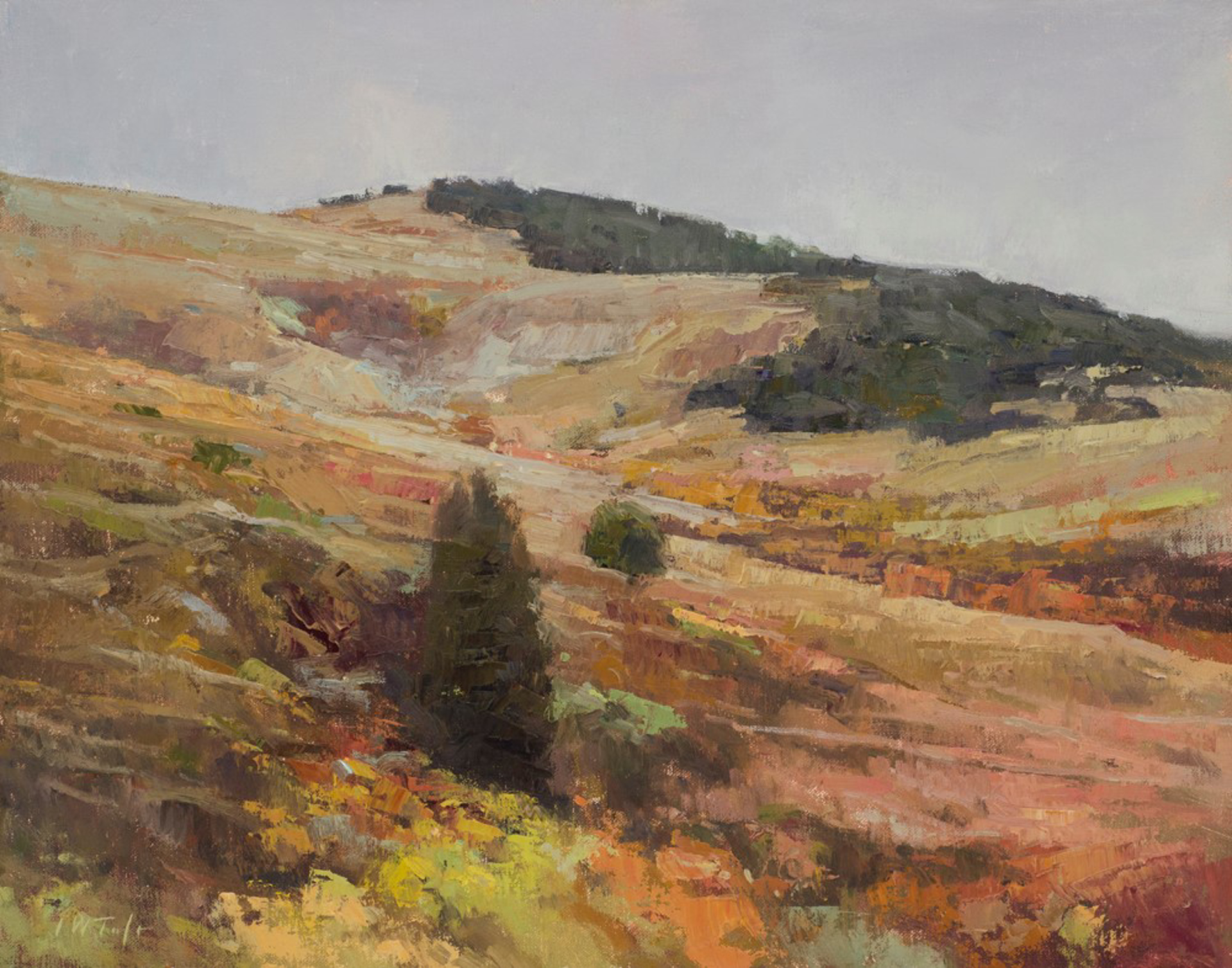 Autumn Hill by John Taft