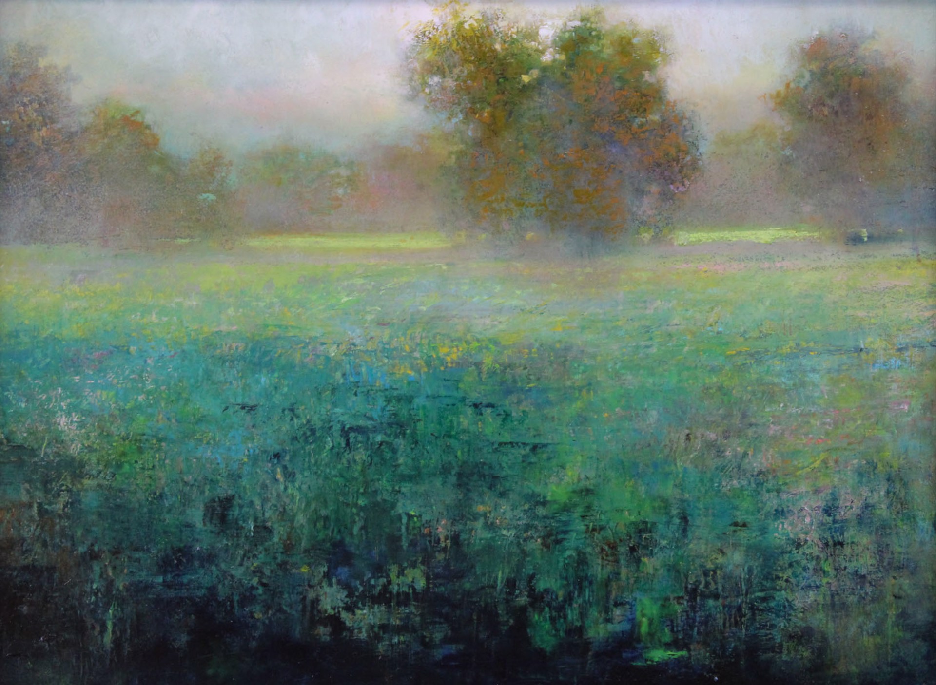 Spring Meadow by John Andersen