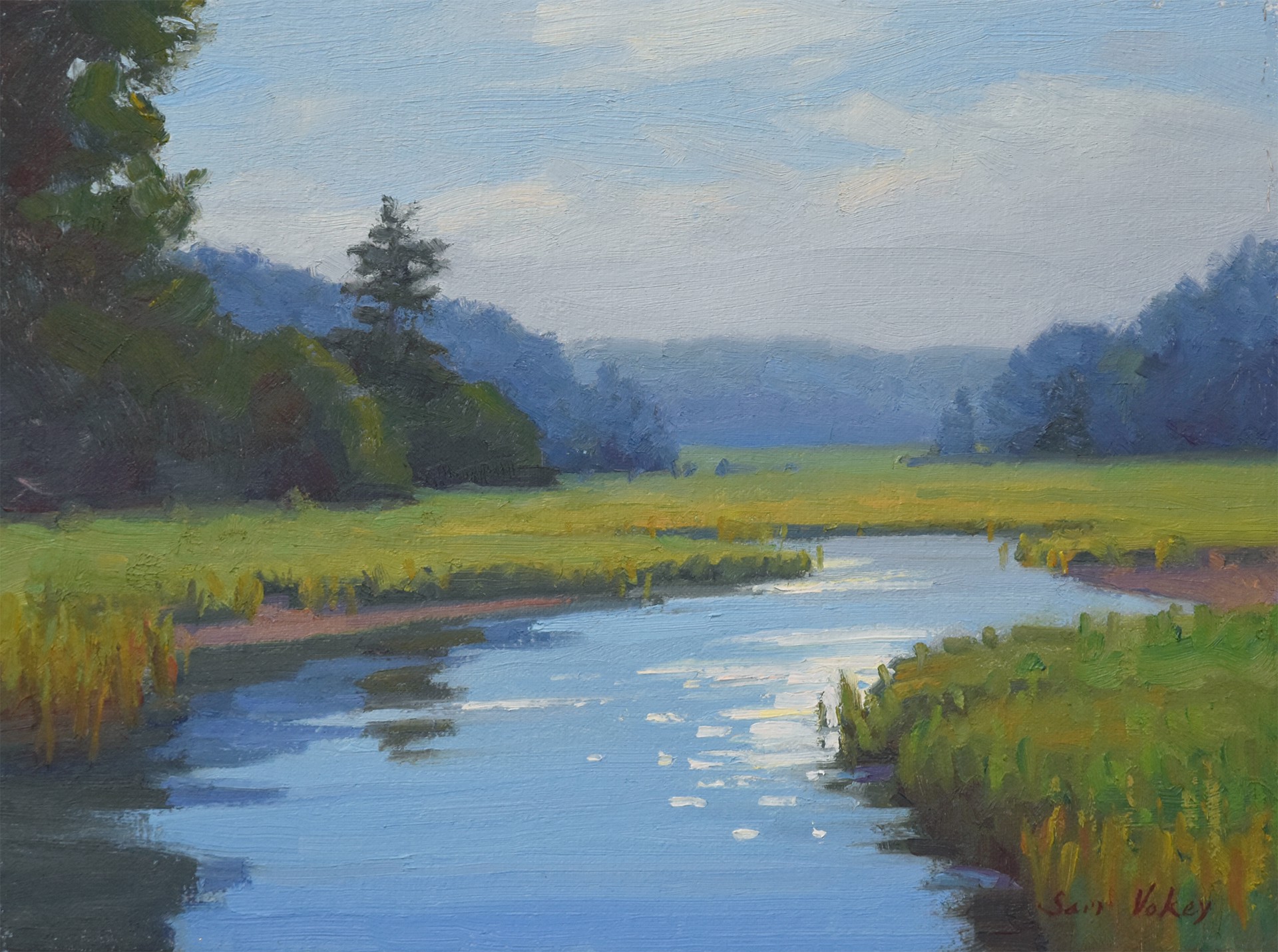 Light on the Marsh by Sam Vokey