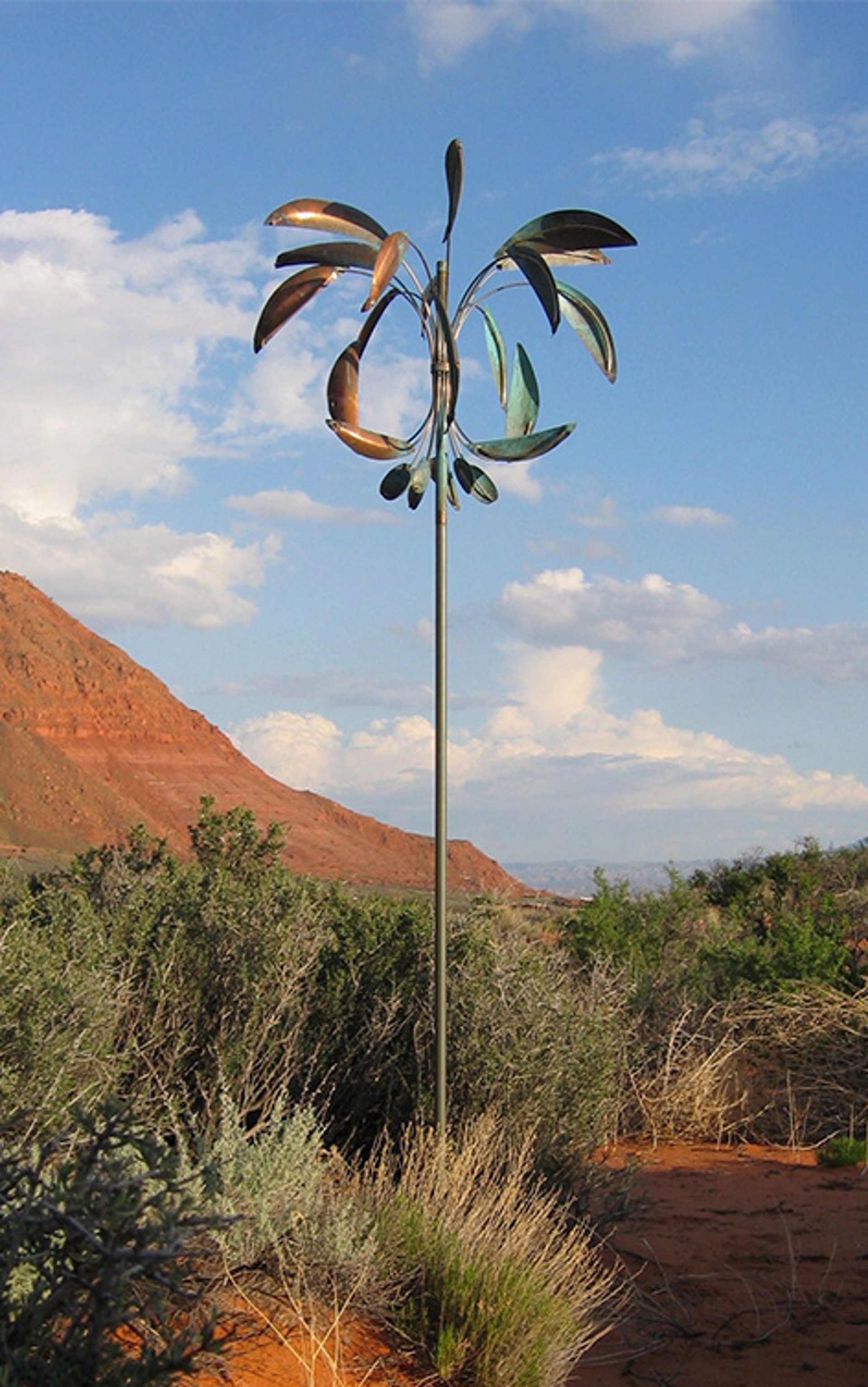 Desert Palm by Lyman Whitaker