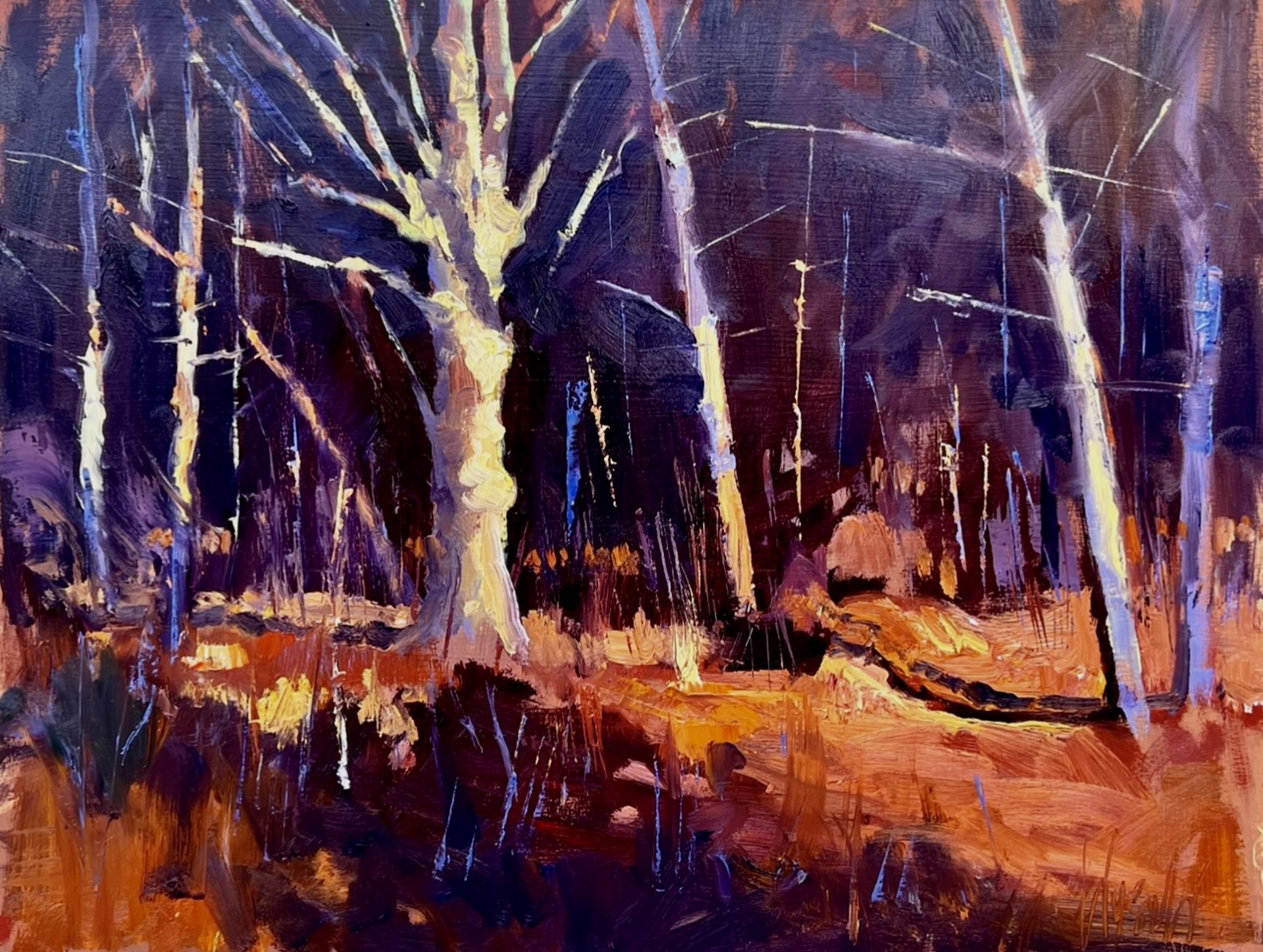 SUGAR MAPLE SUNRISE by Stephen Wysocki