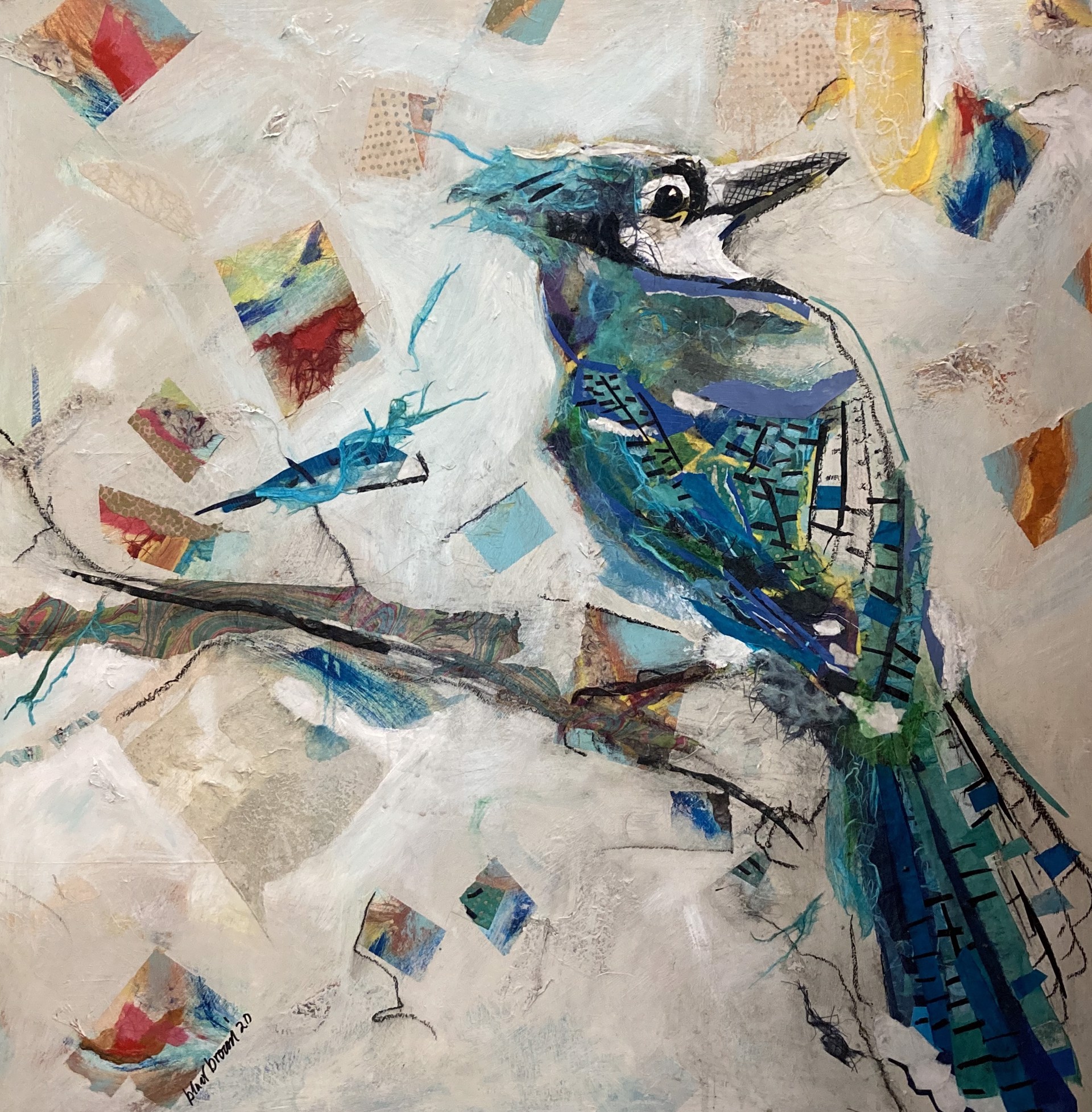 Blue Jay by Blair Brown