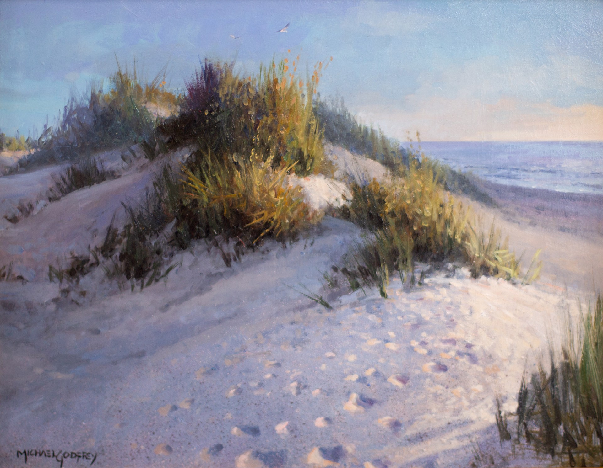 Coastal Morning by Michael Godfrey
