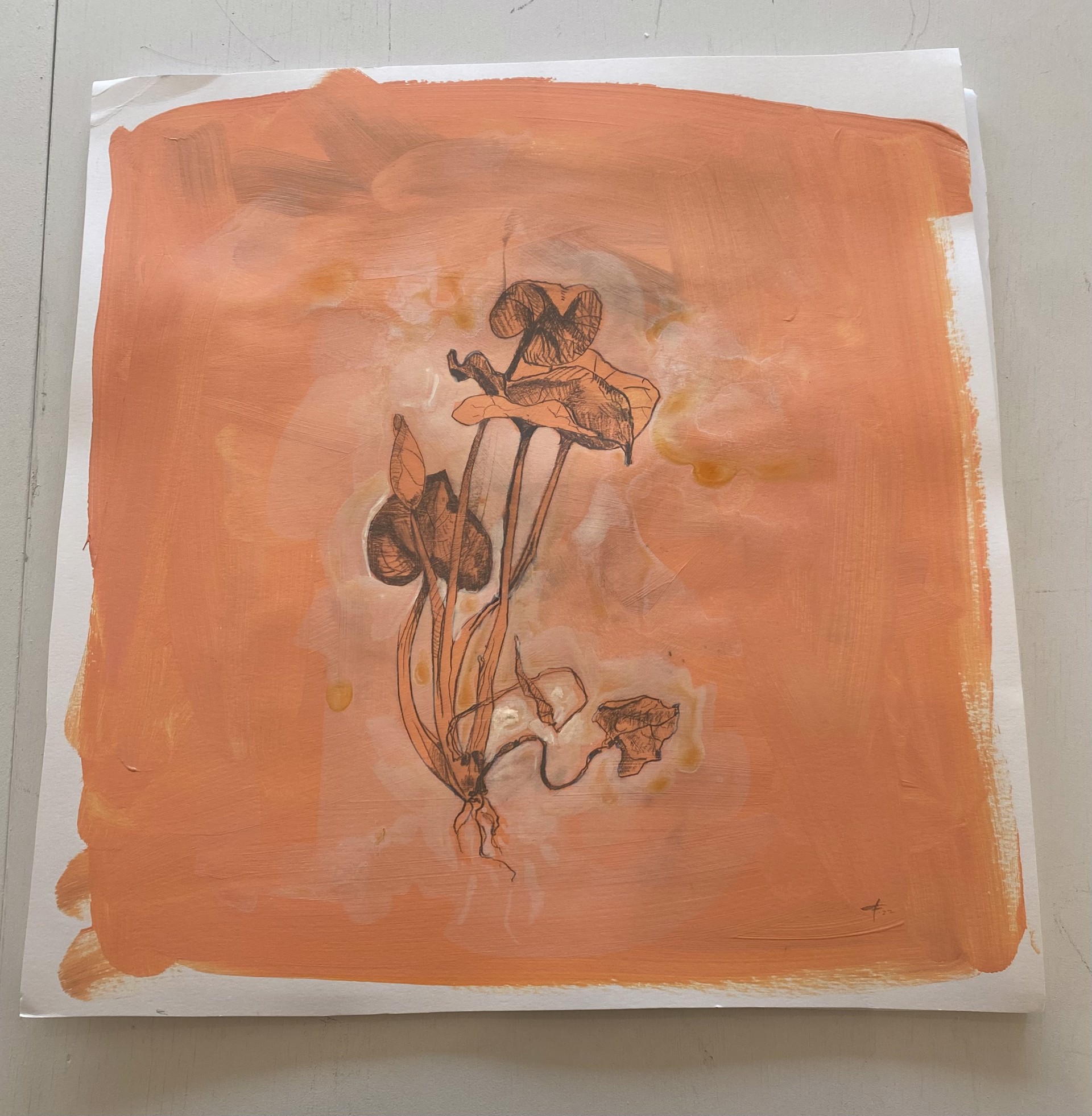 Tangerine by Annalisa Fink