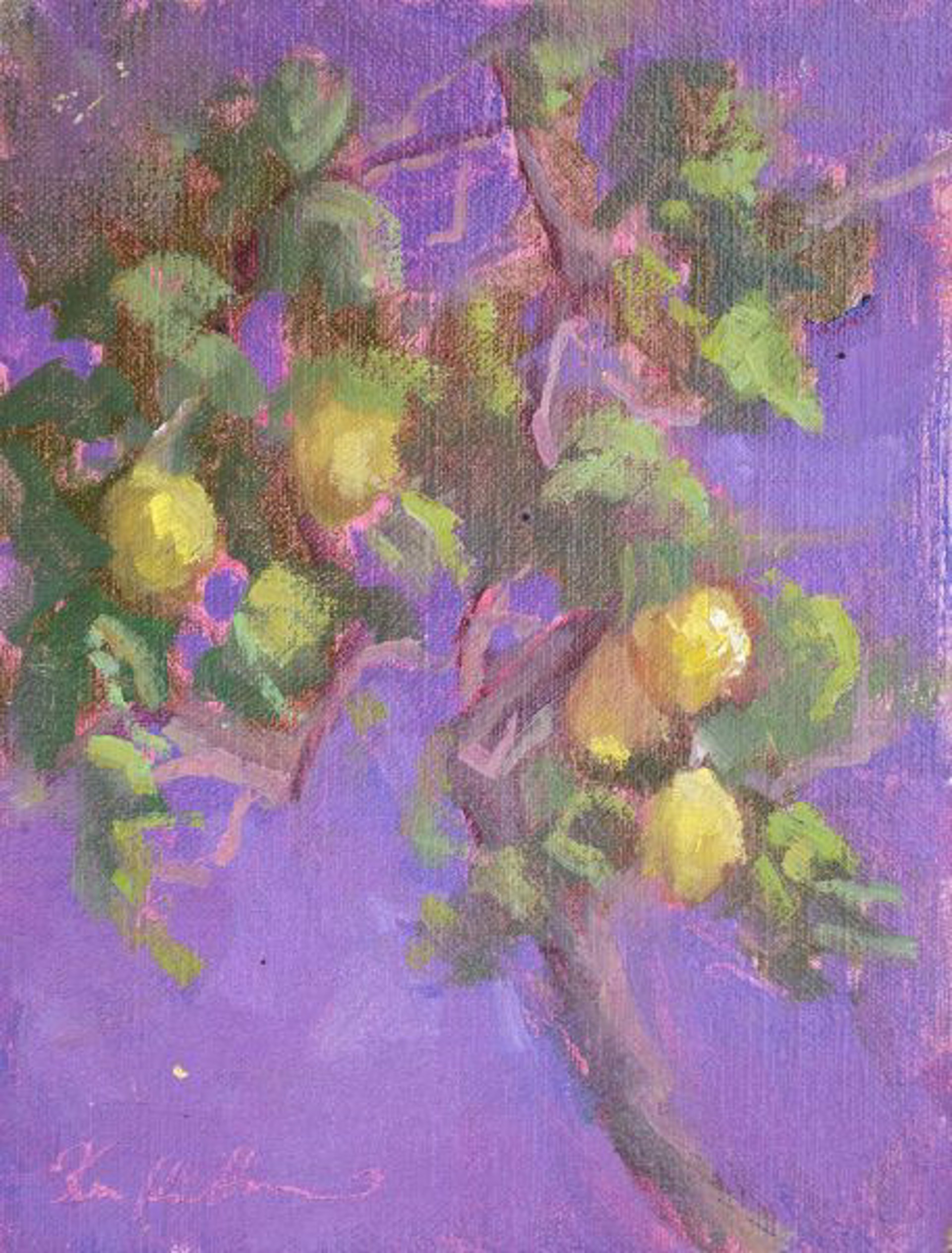 Lemon Trees II at La Consuma by Karen Hewitt Hagan