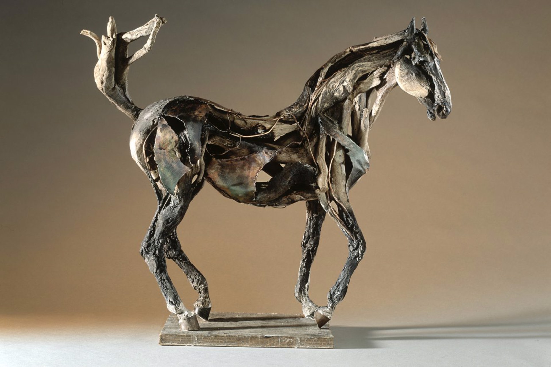 Beethoven (Horse) by Heather Jansch