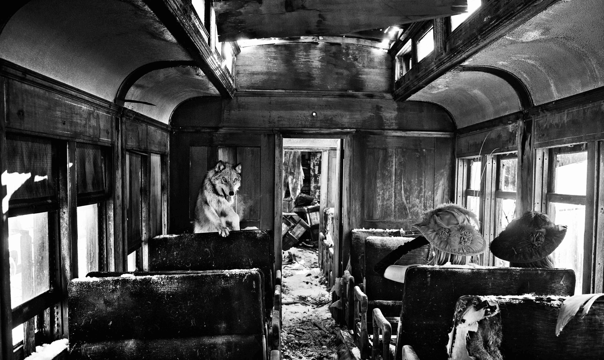 Ride the Ghost Train by David Yarrow