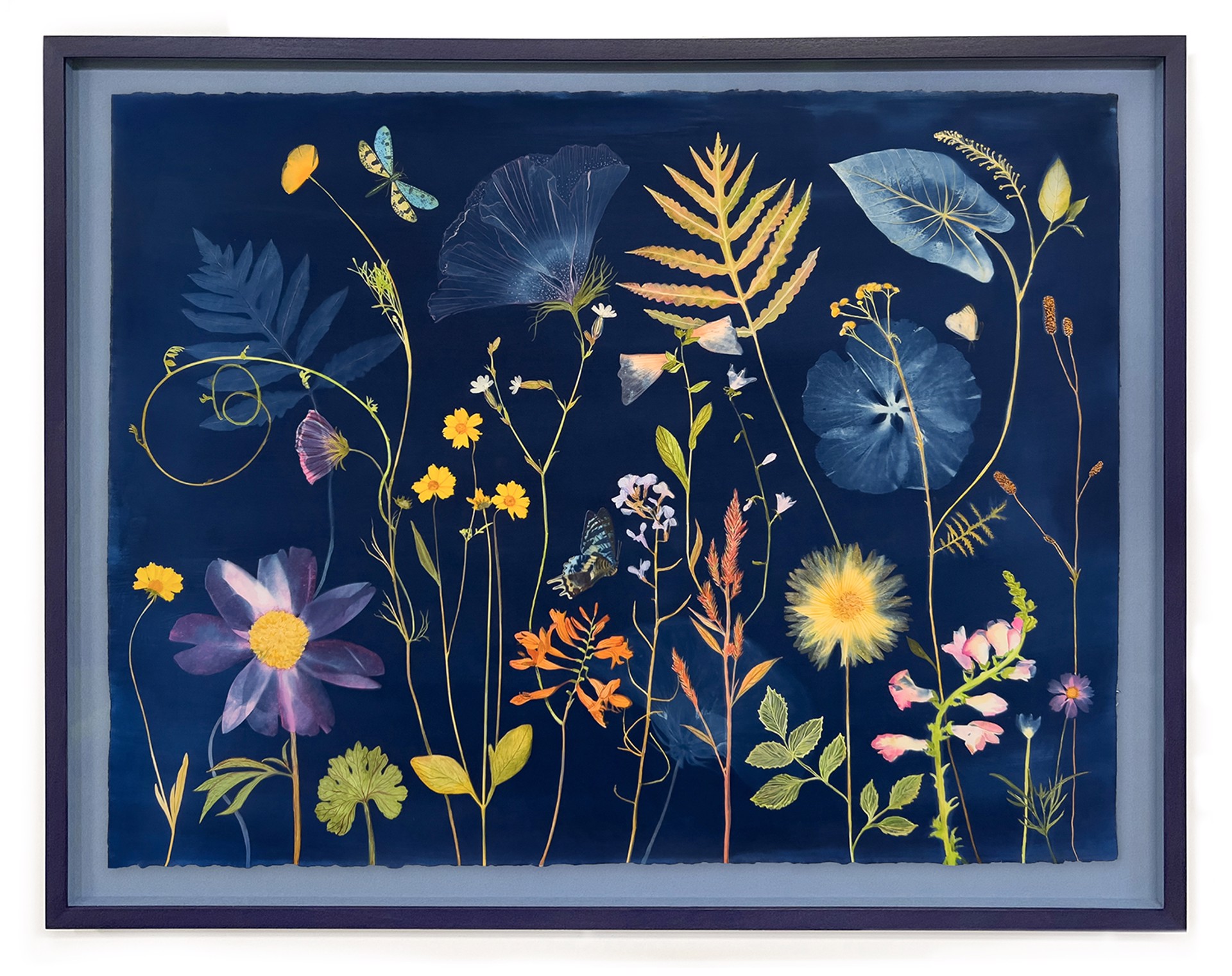 Nocturnal Nature (Dahlia, Helenium, Peony, Montbretia, Pollinators) by Julia Whitney Barnes