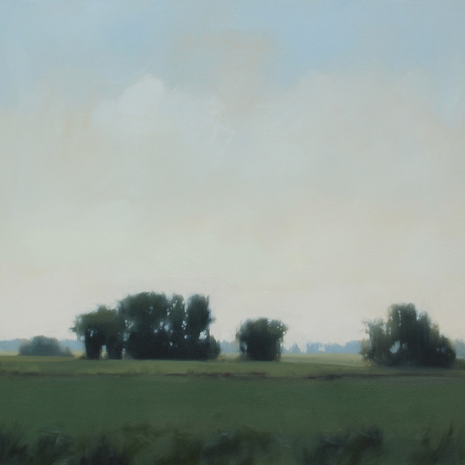 Radiant Field {SOLD} by Megan Lightell