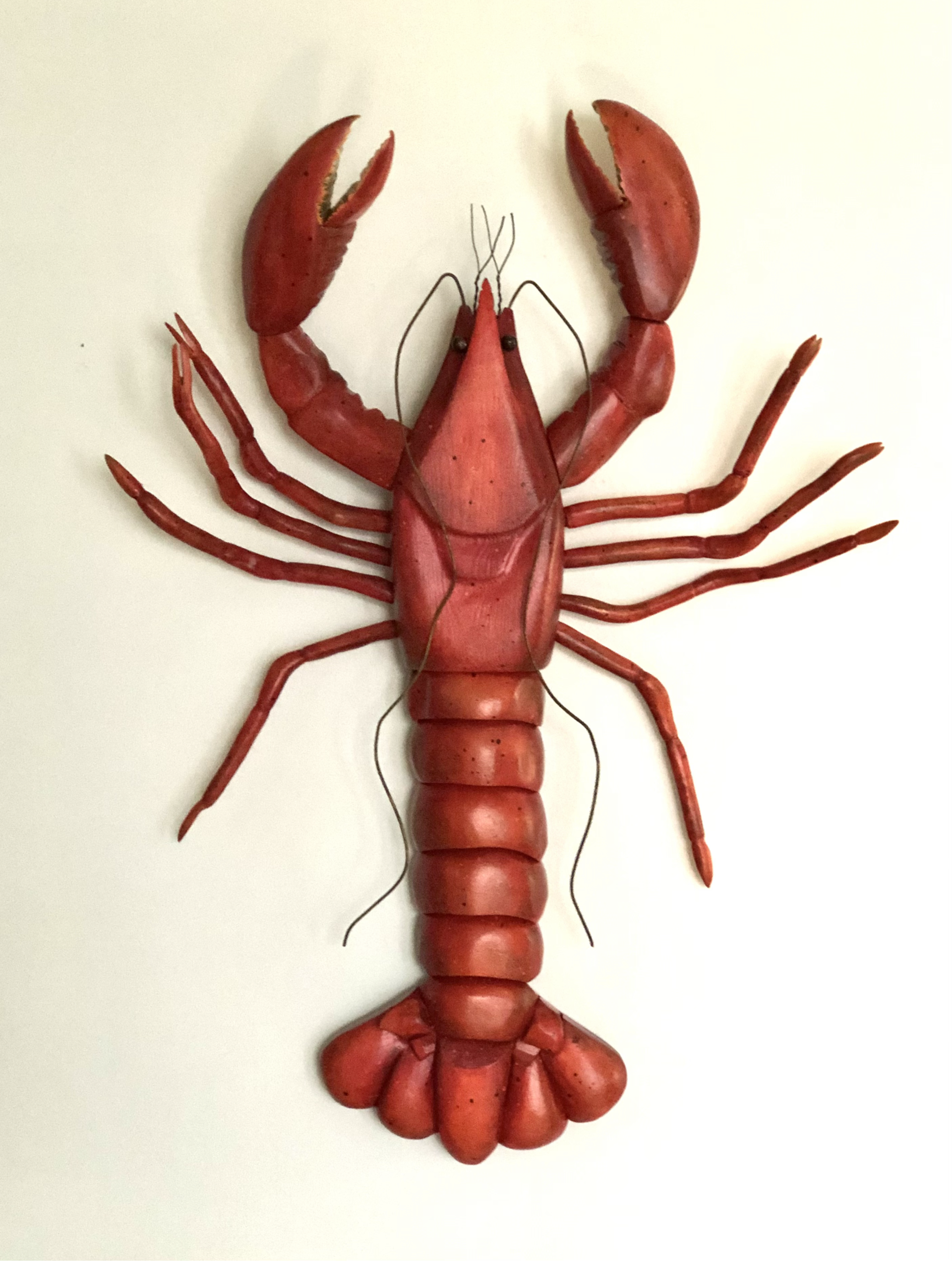 Louie; Lobster JW24-05 by Jo Watson