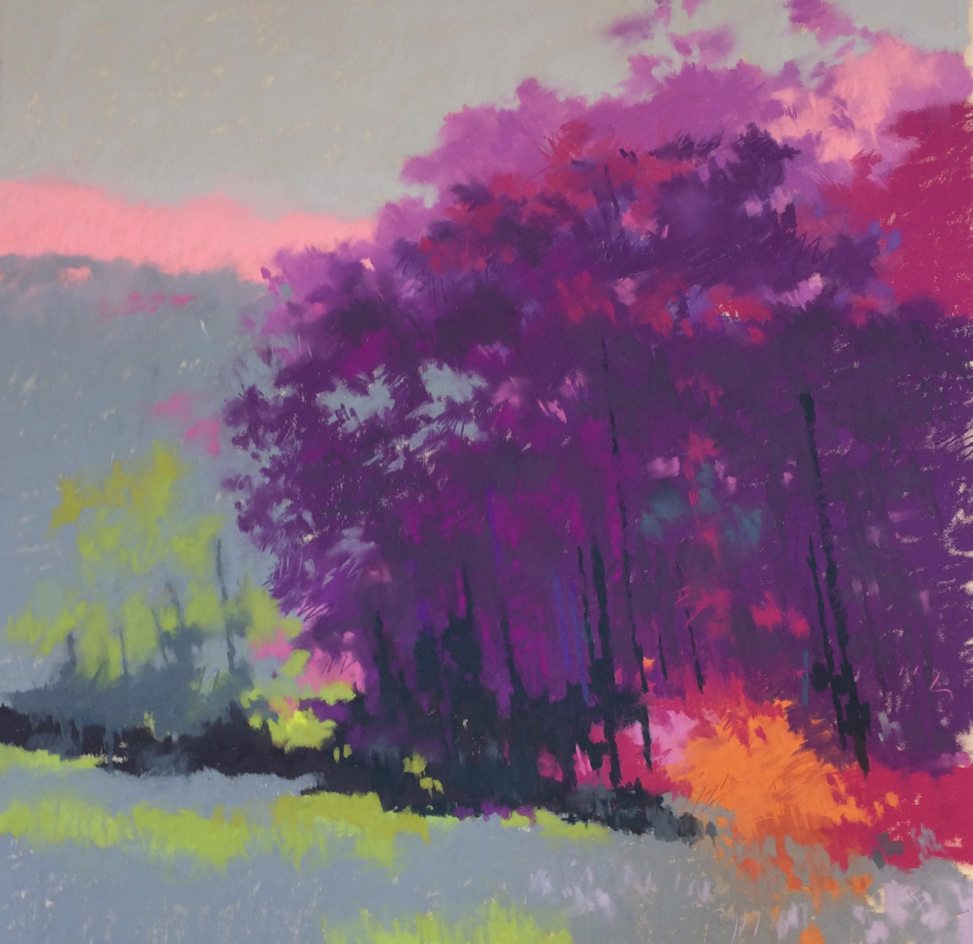 Pure Color Mike Kelly Mike Kelly | J Petter Galleries