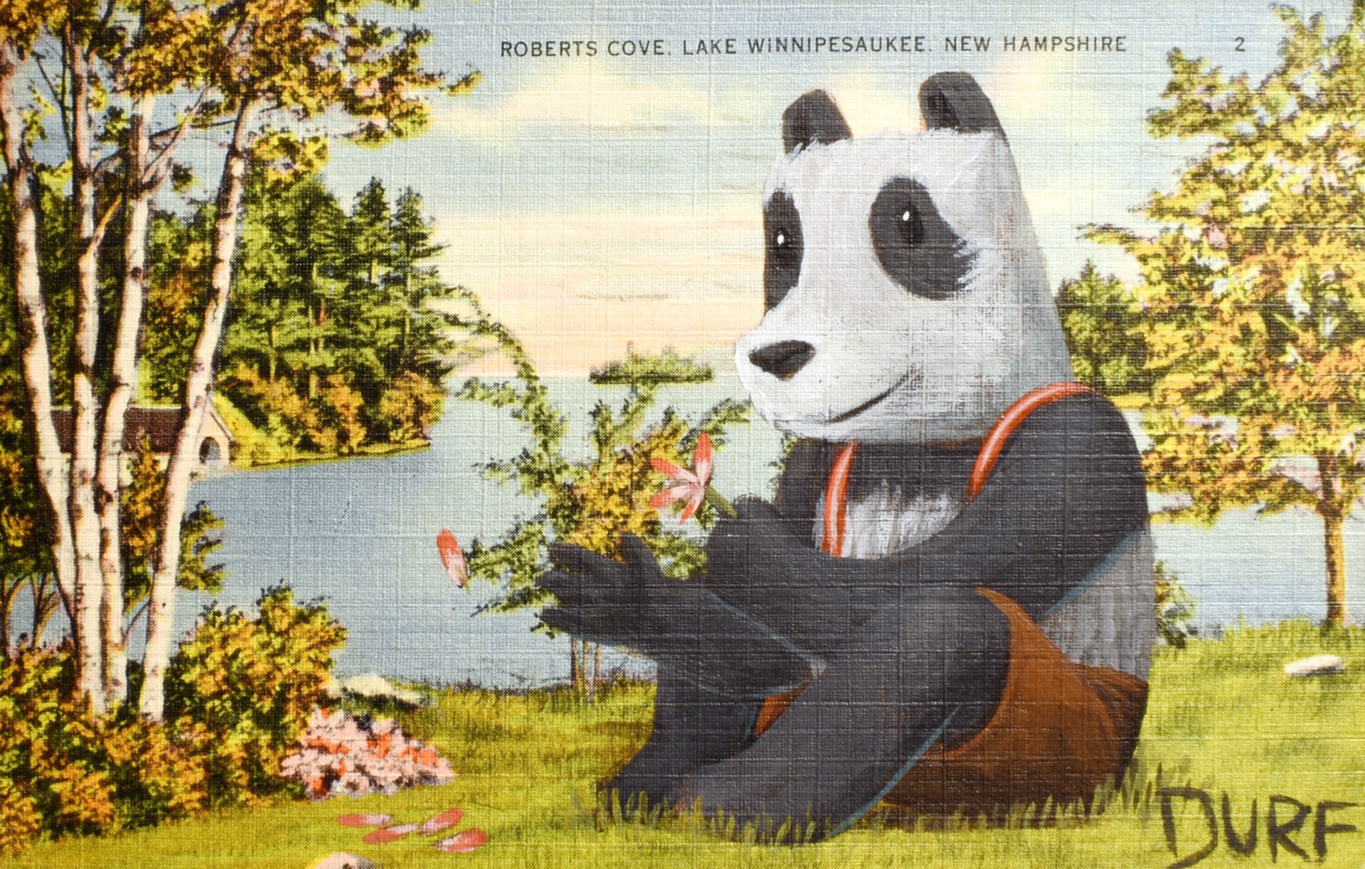 Panda Finding the Truth by Nathan Durfee