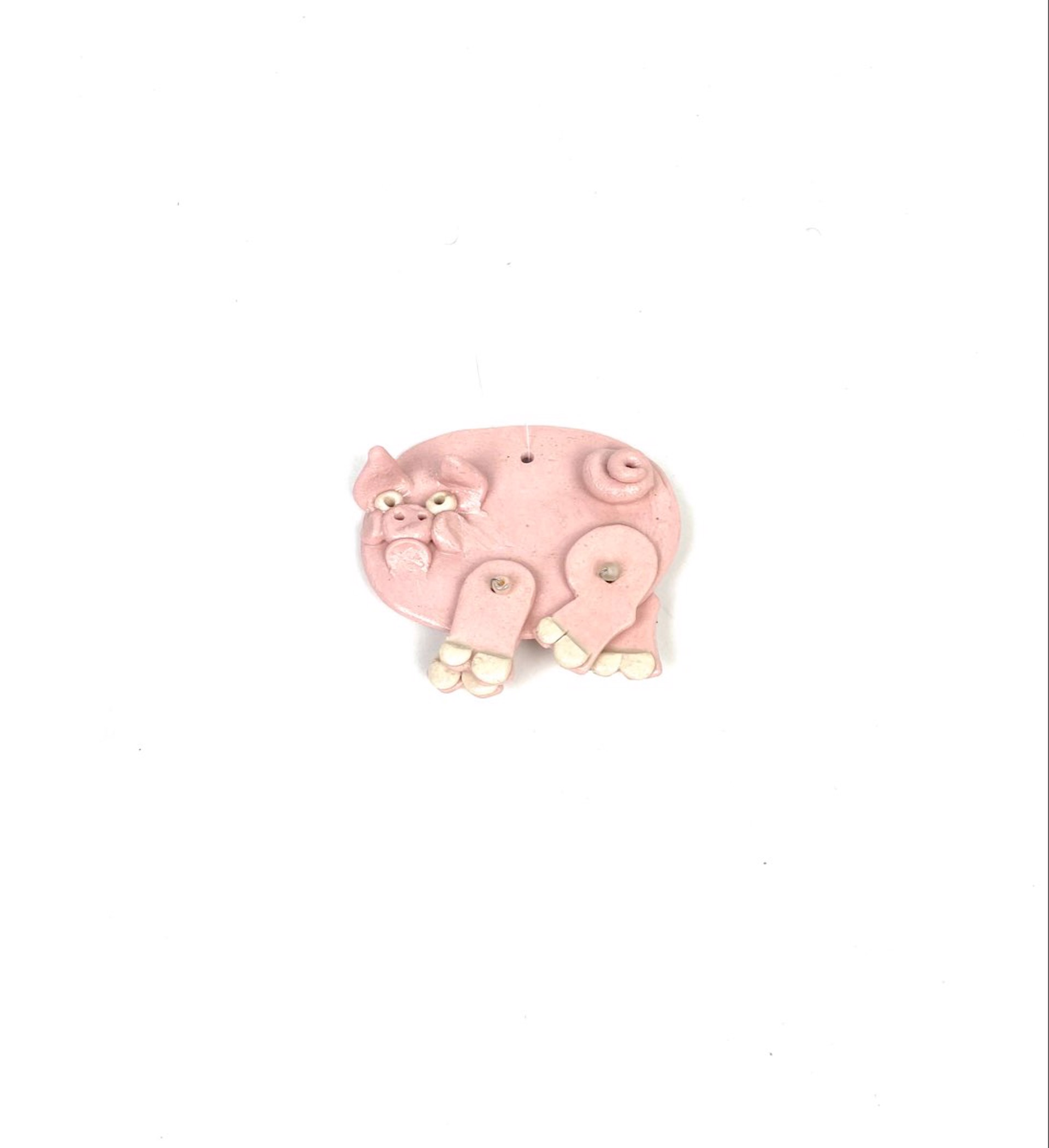 Pig Ornament by Nancy Jacobsohn