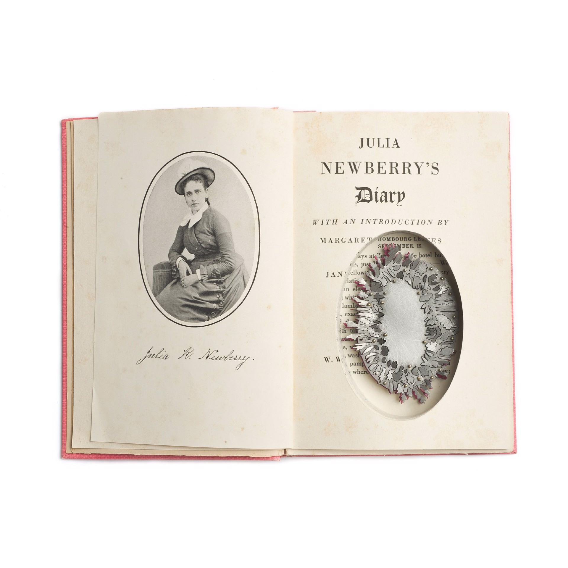 Found Subjects: Julia Newberry's Diary by Sondra Sherman