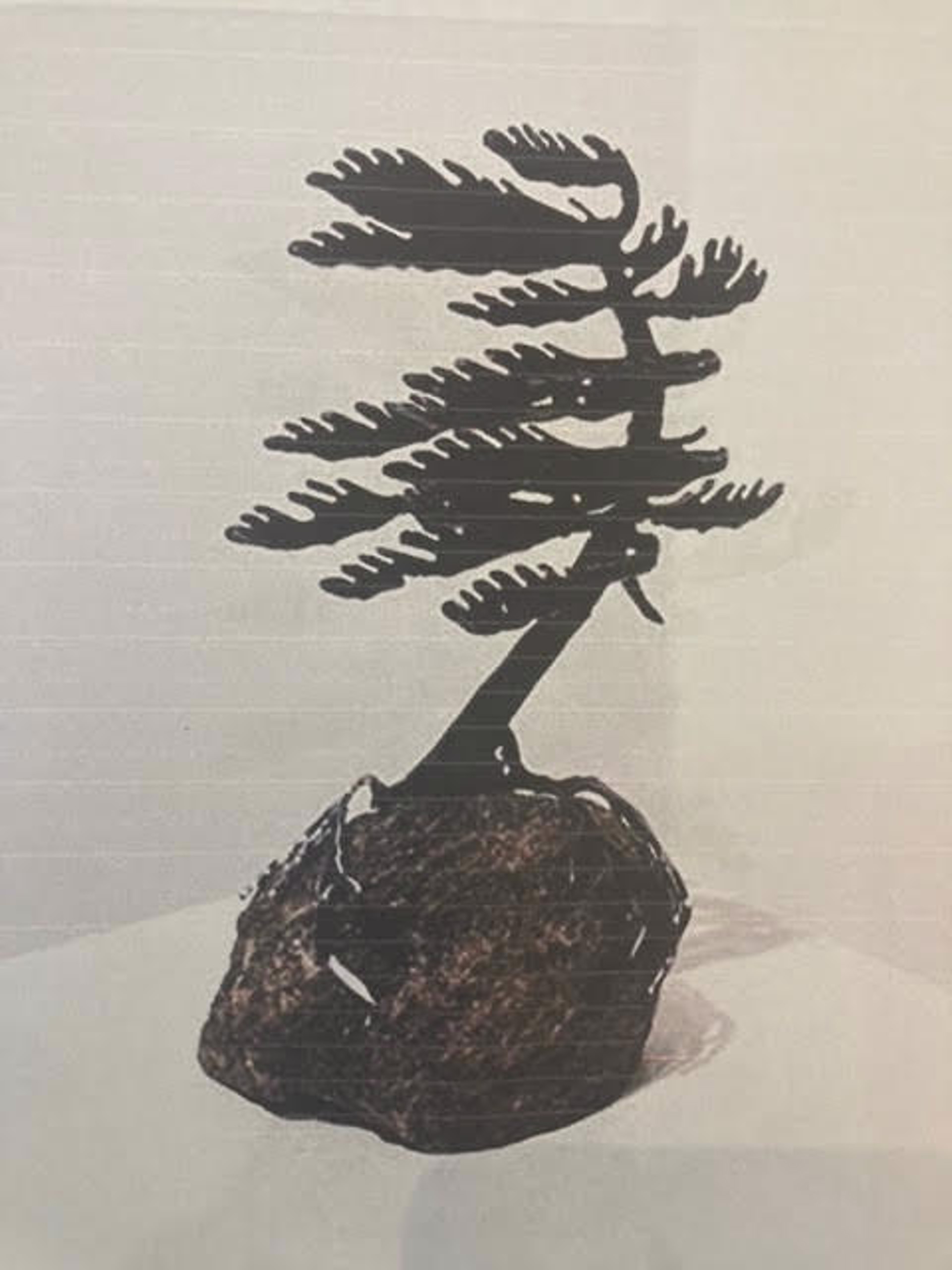 Windswept Pine, 189969 by Cathy Mark