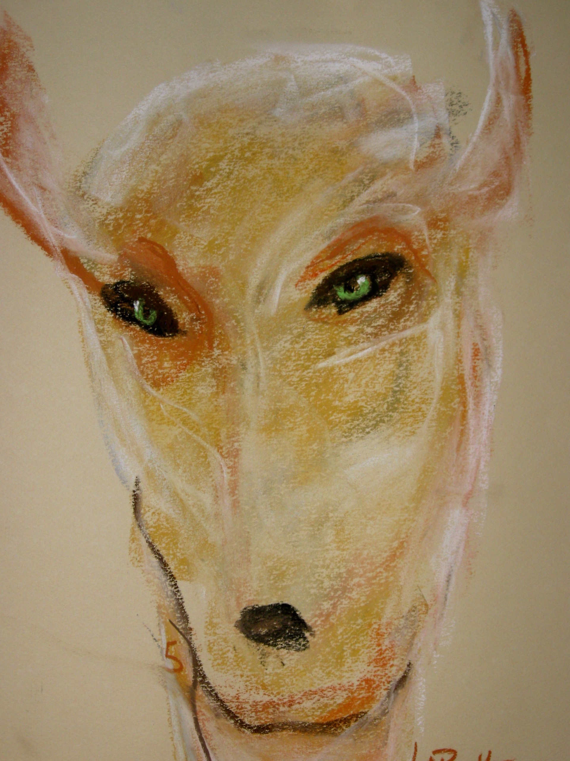 Spirit of the Deer by Carole LaRoche