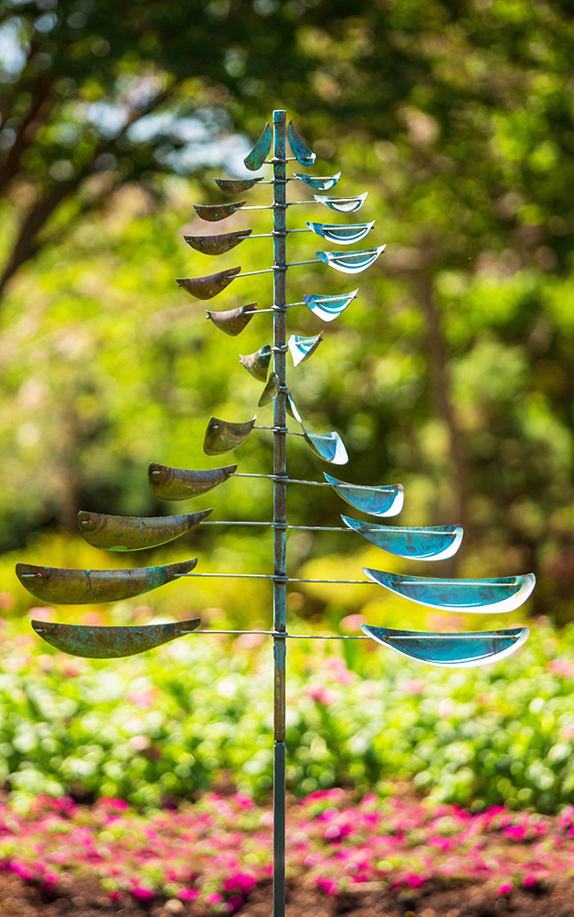 Sail by Lyman Whitaker