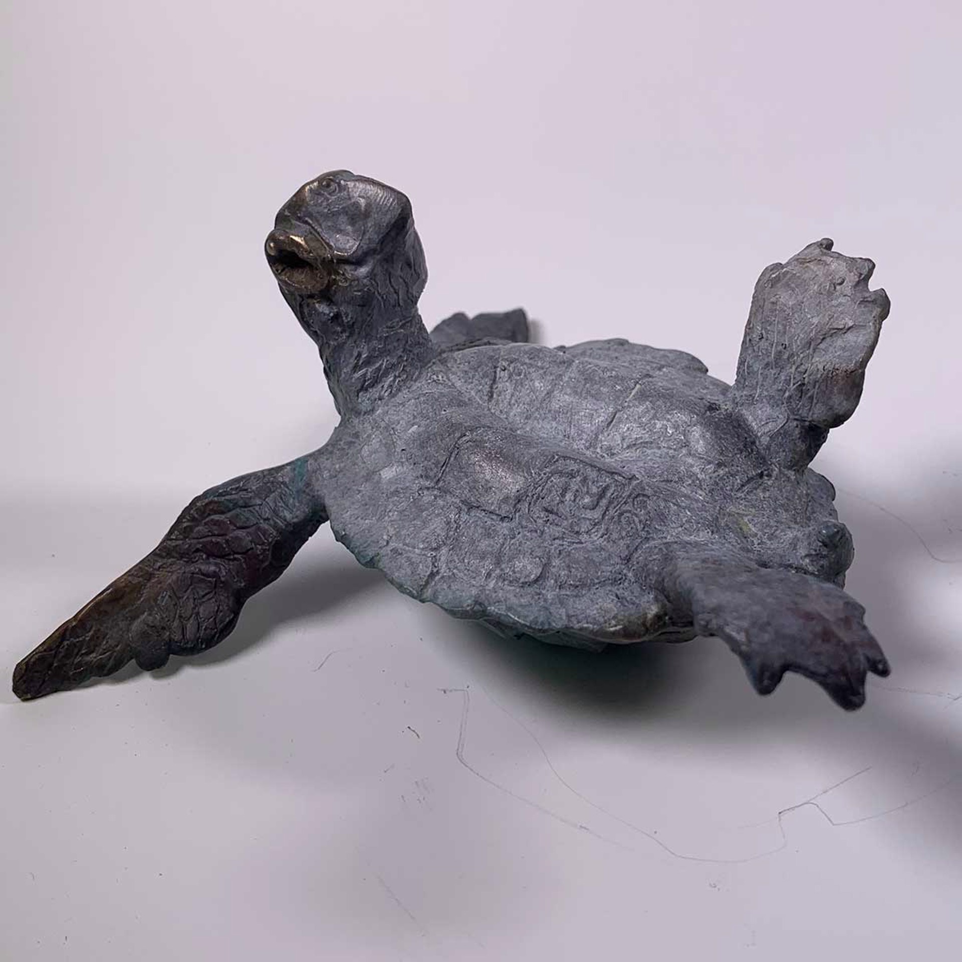 Sea Turtle F by Dan Chen