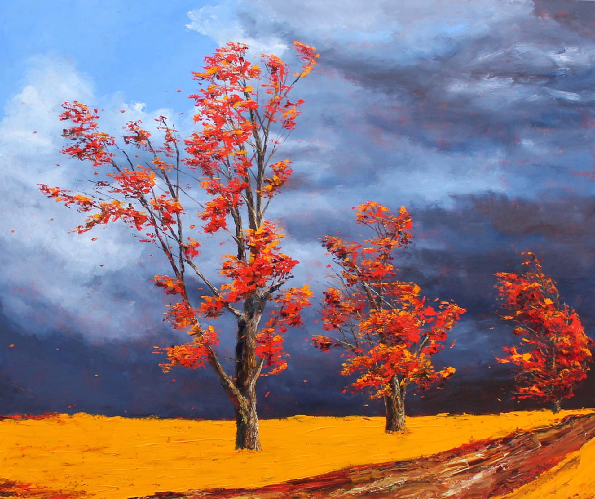 Autumns Path by Jamie MacLean