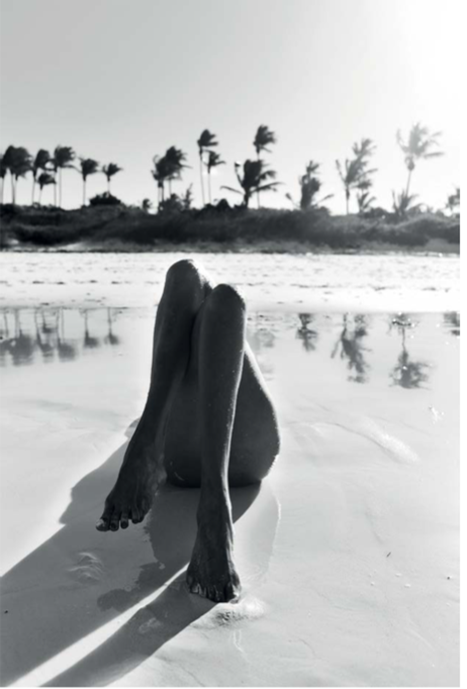 Wilmide French Leaves (St Barth) by Jean-Philippe Piter