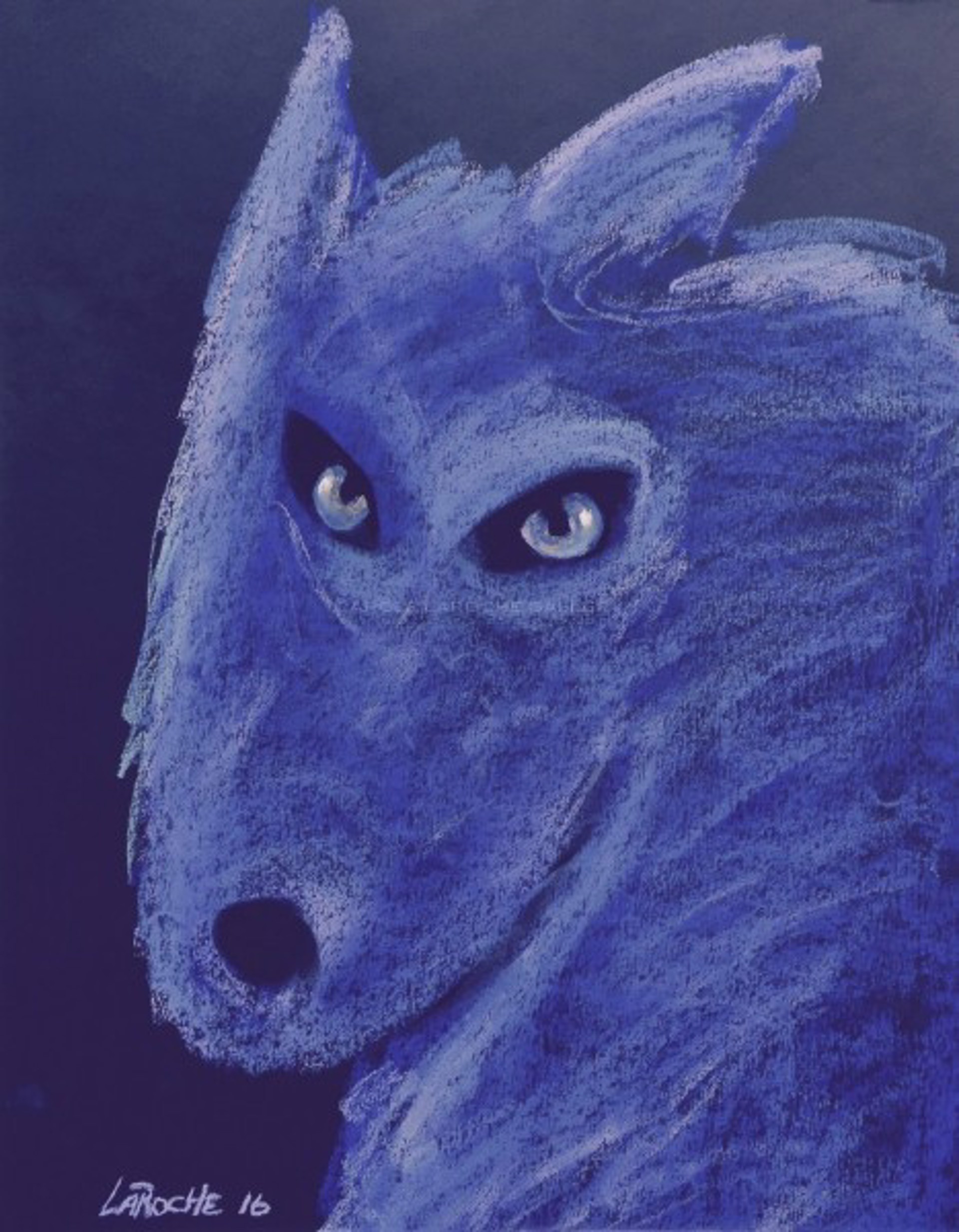 The Pack: Blue Eyes by Carole LaRoche