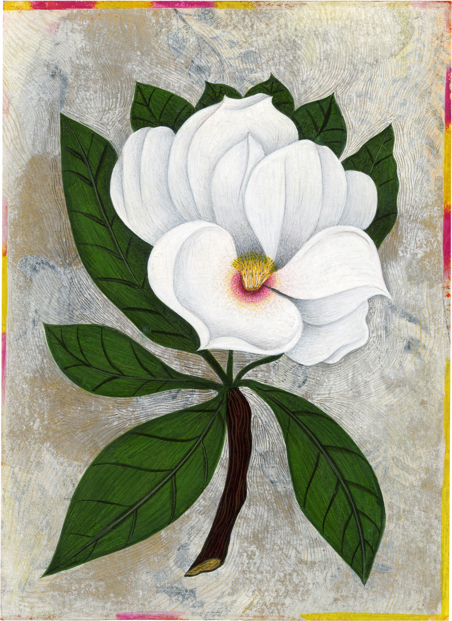 Magnolia by Anne Smith
