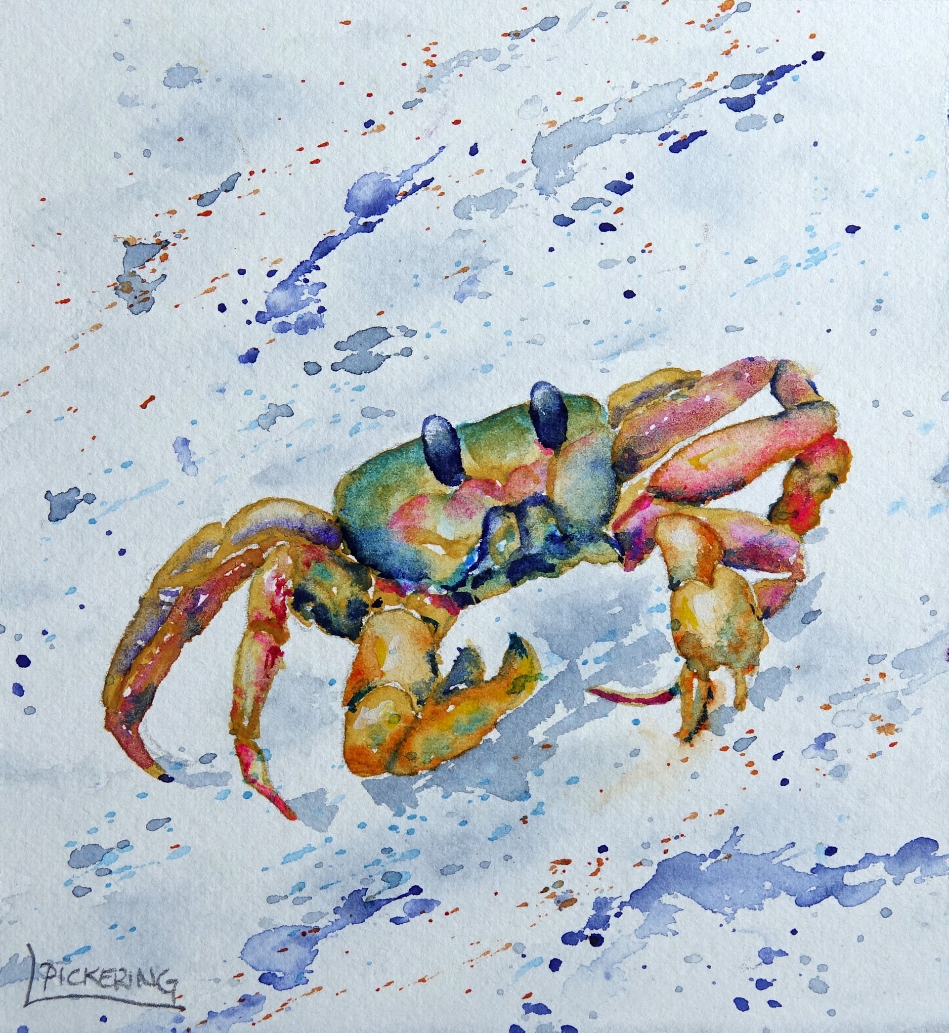 Rainbow Crab by Laura Pickering