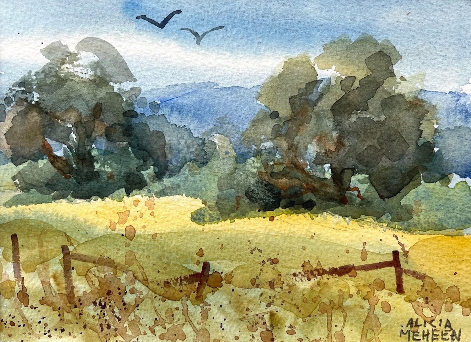 Valley Oaks by Alicia Meheen