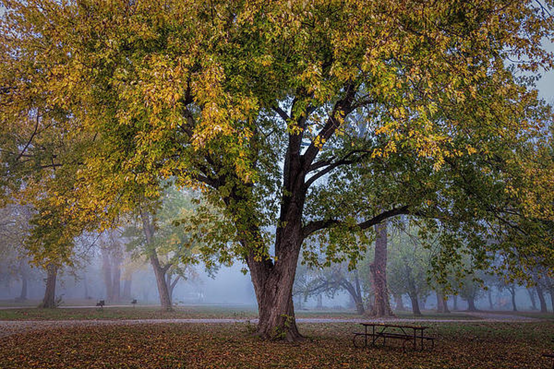 A Place to Enjoy Fall by Scott Bean