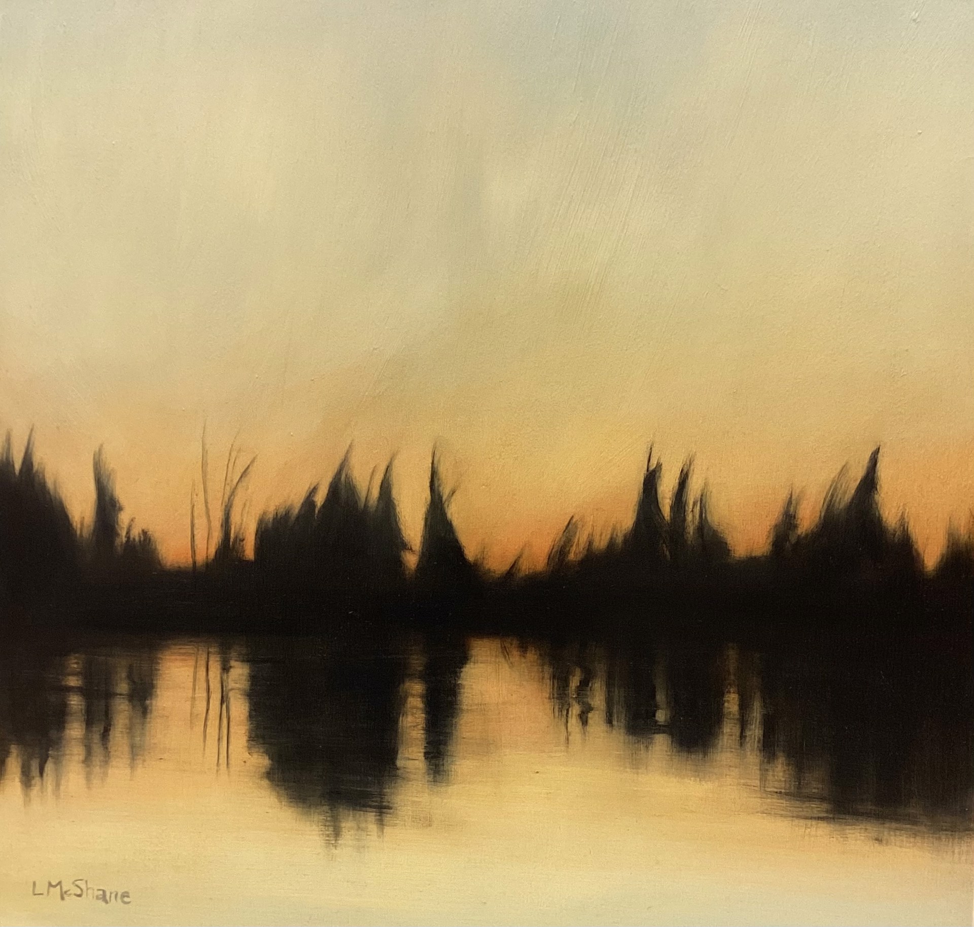 North Pond Winter Sunset by Lisa McShane