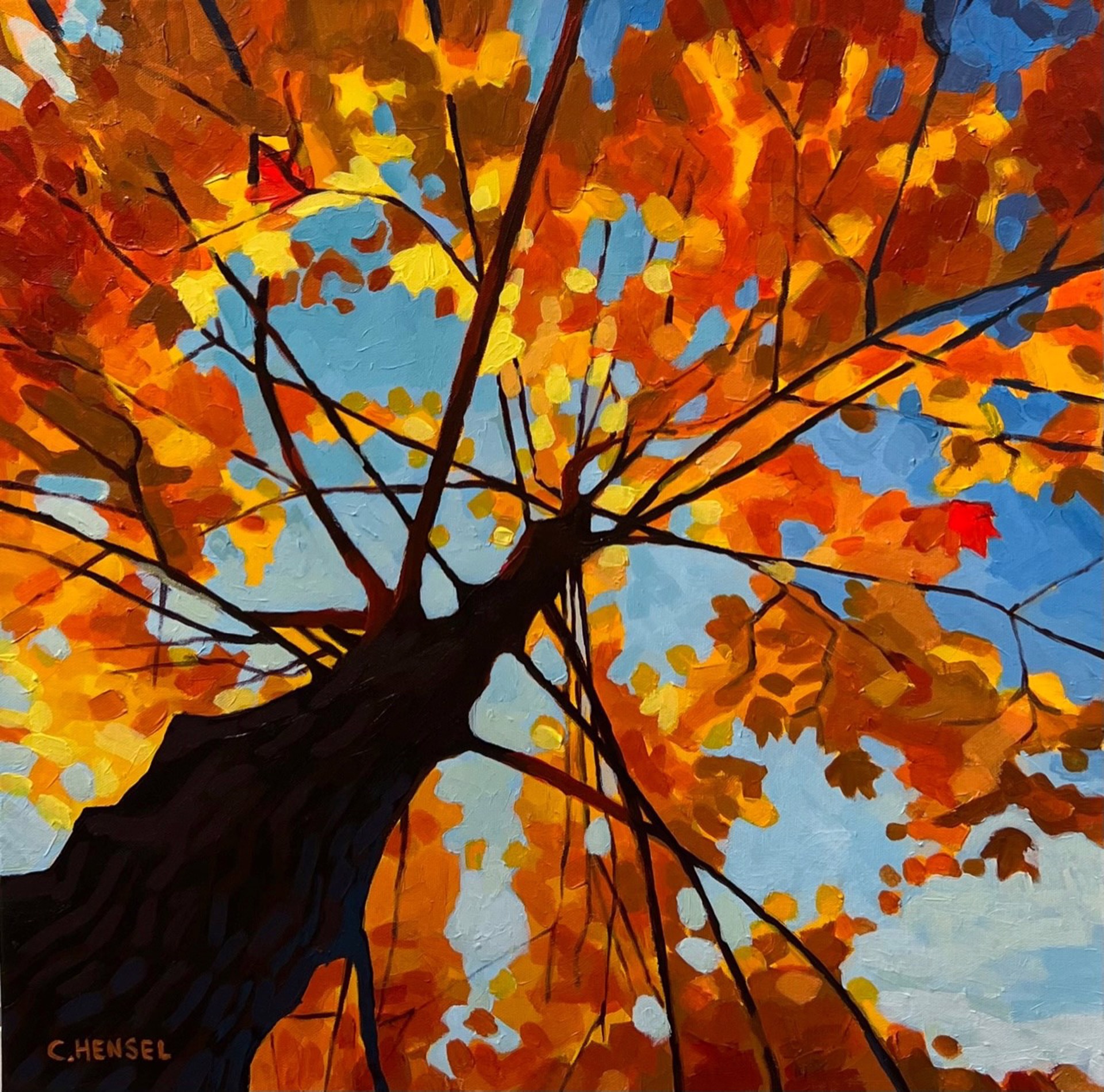 Sugar Maple by Carrie Hensel