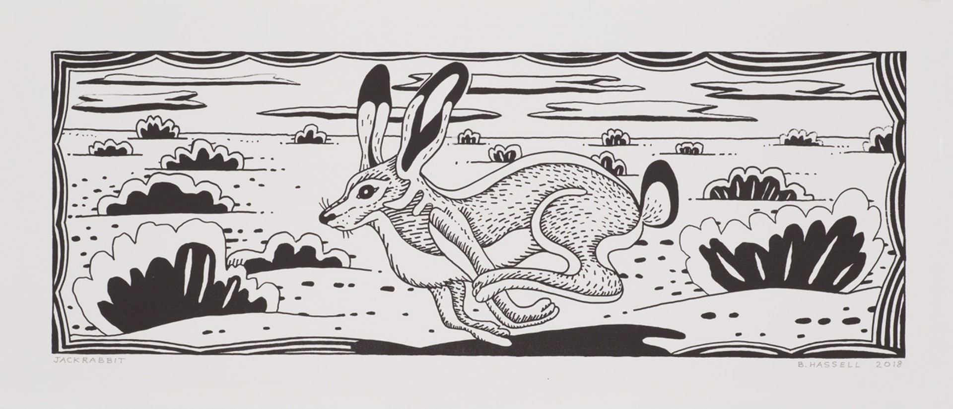 Jackrabbit by Billy Hassell