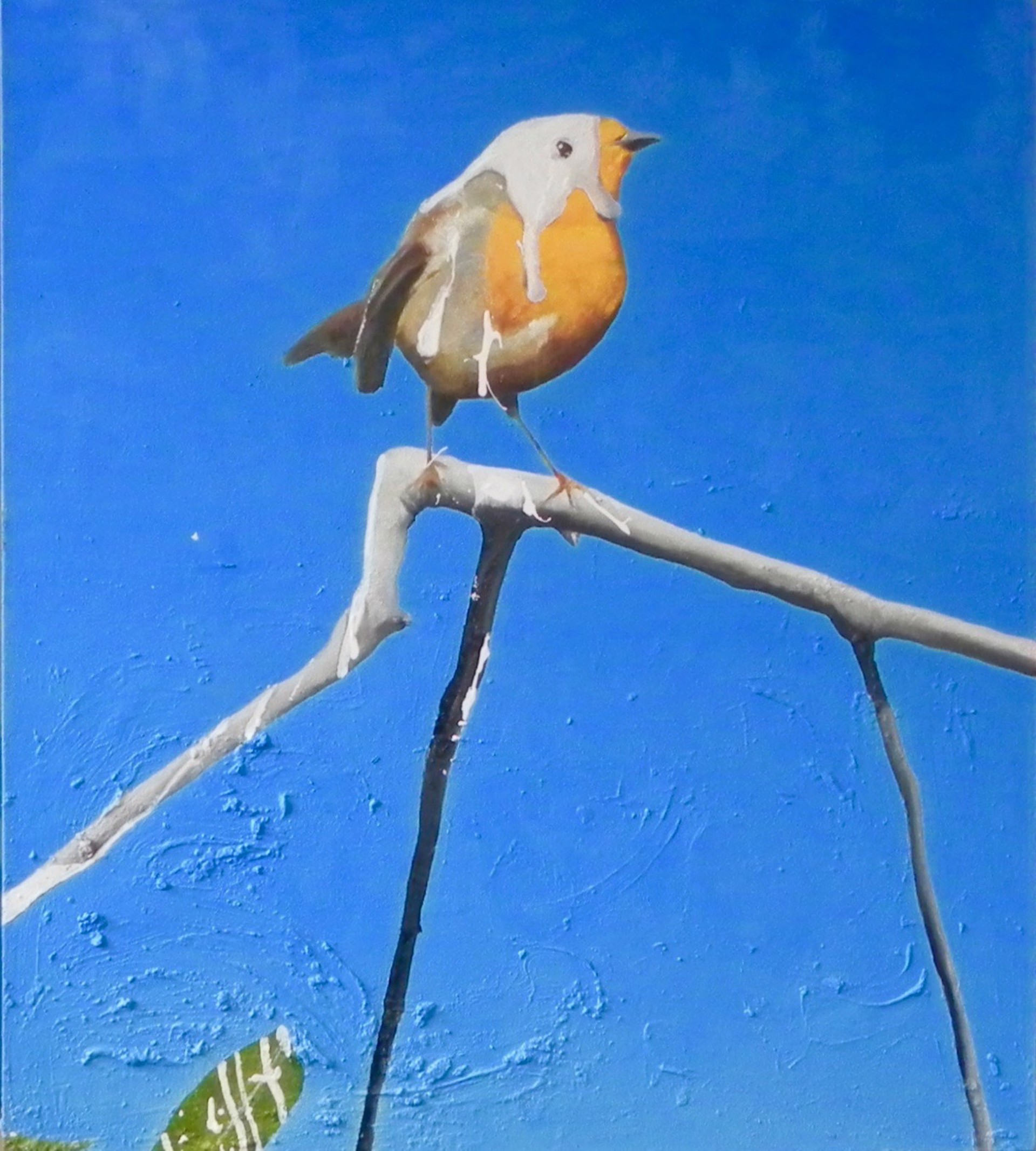 Come On Little Bird by Stephen Namara